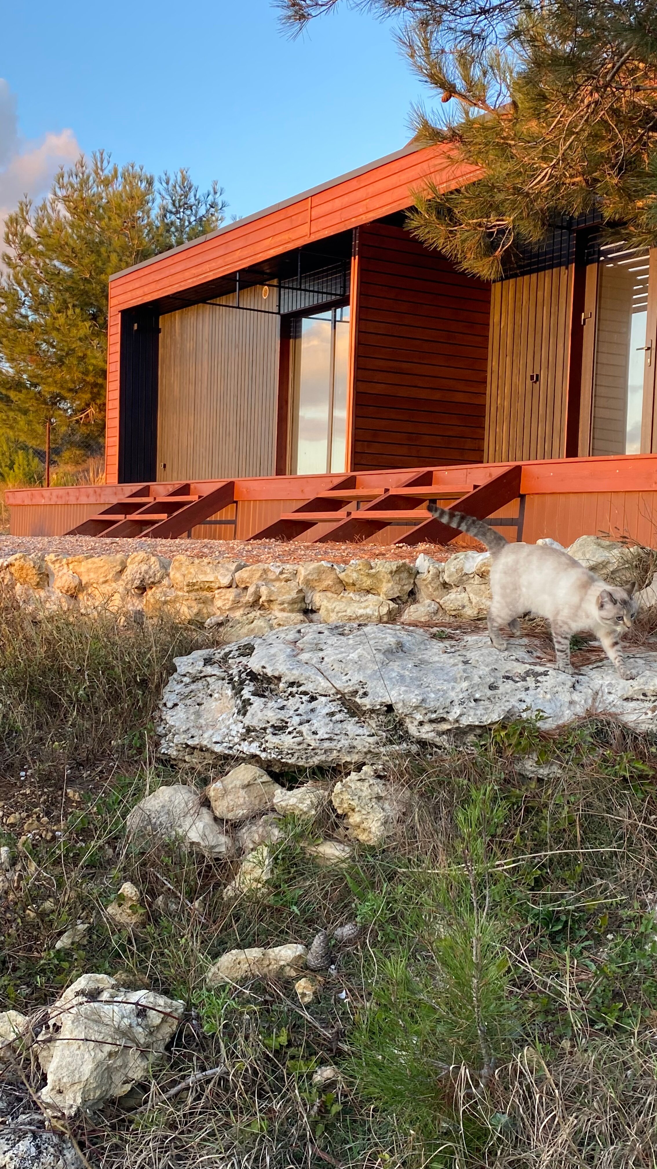 Фото Terrasapallasa