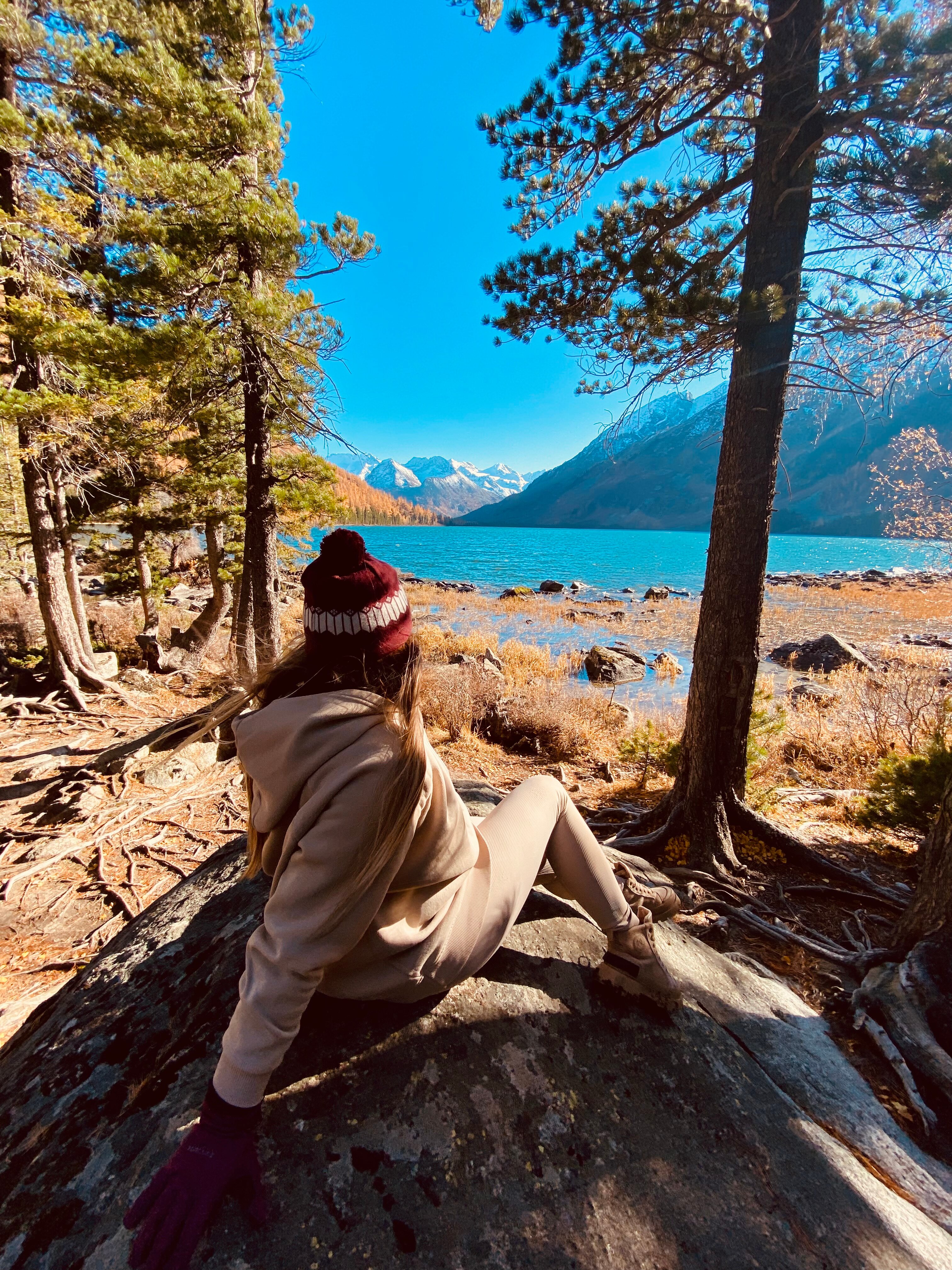 Фото Медуница