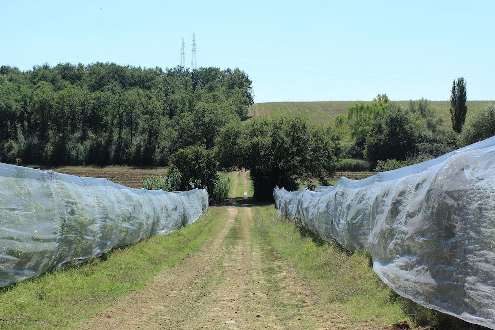 Фото Agriturismo Villa La Morina