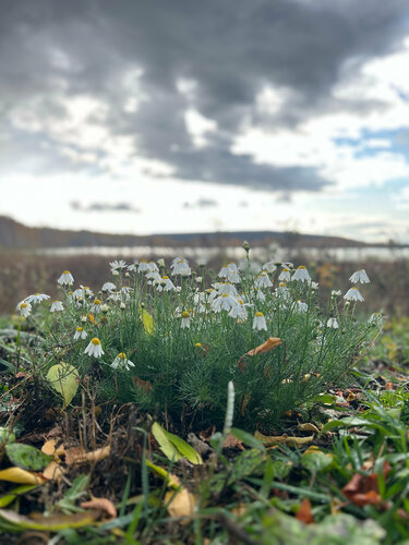 Kolxoz ayollari porno onlayn