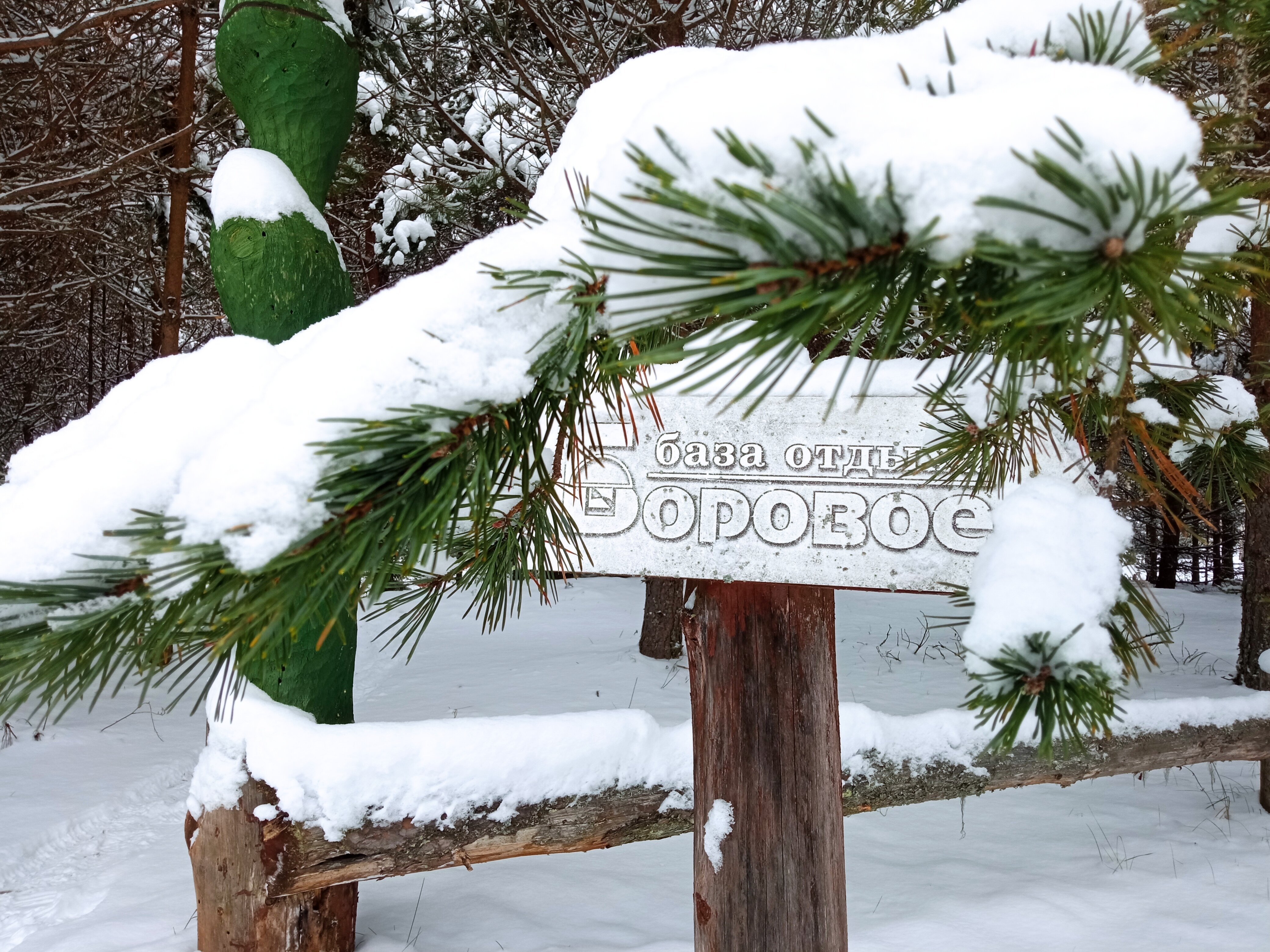 Фото Боровое