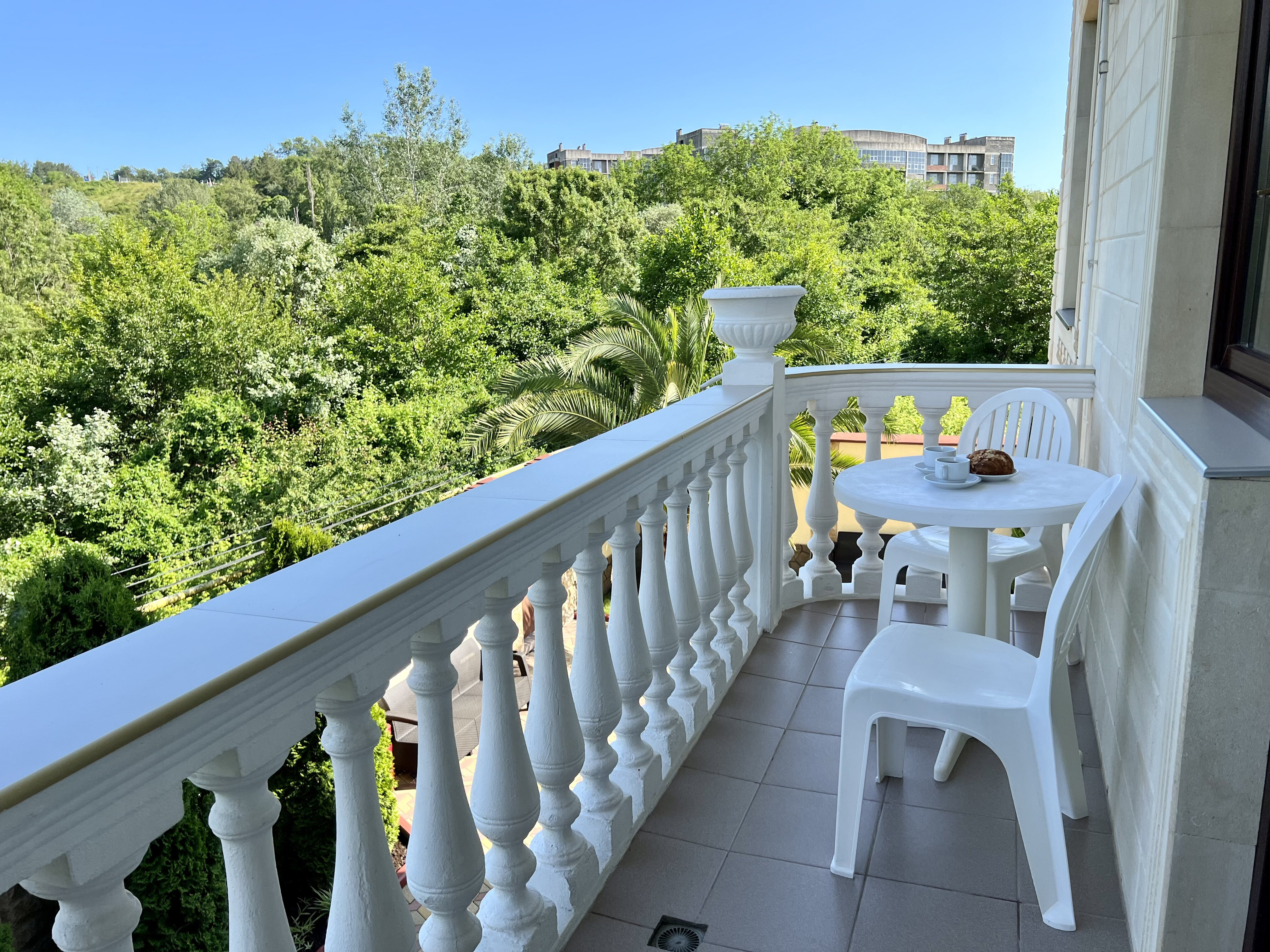 Фото Золотой Лев