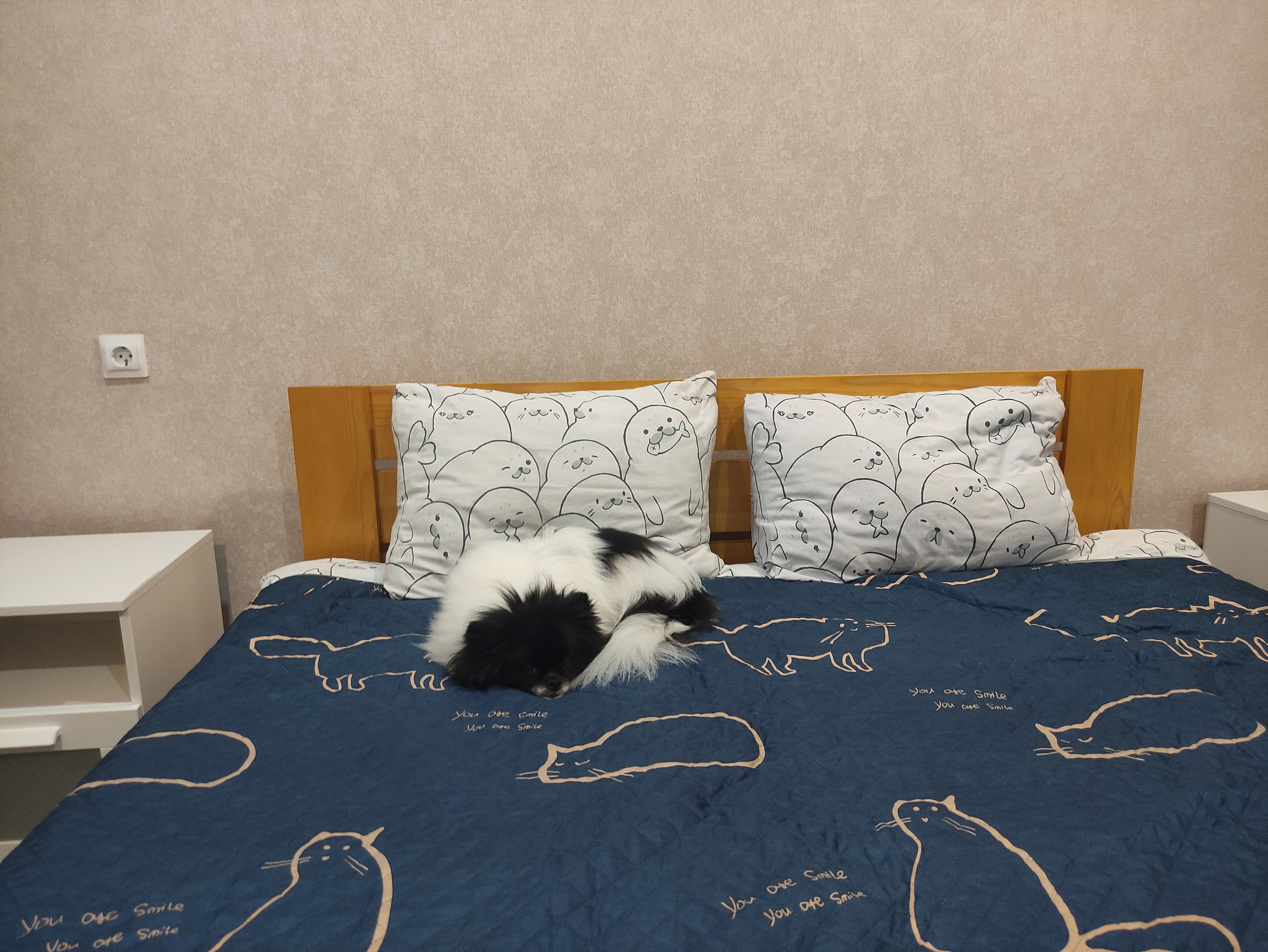 Фото Хижина