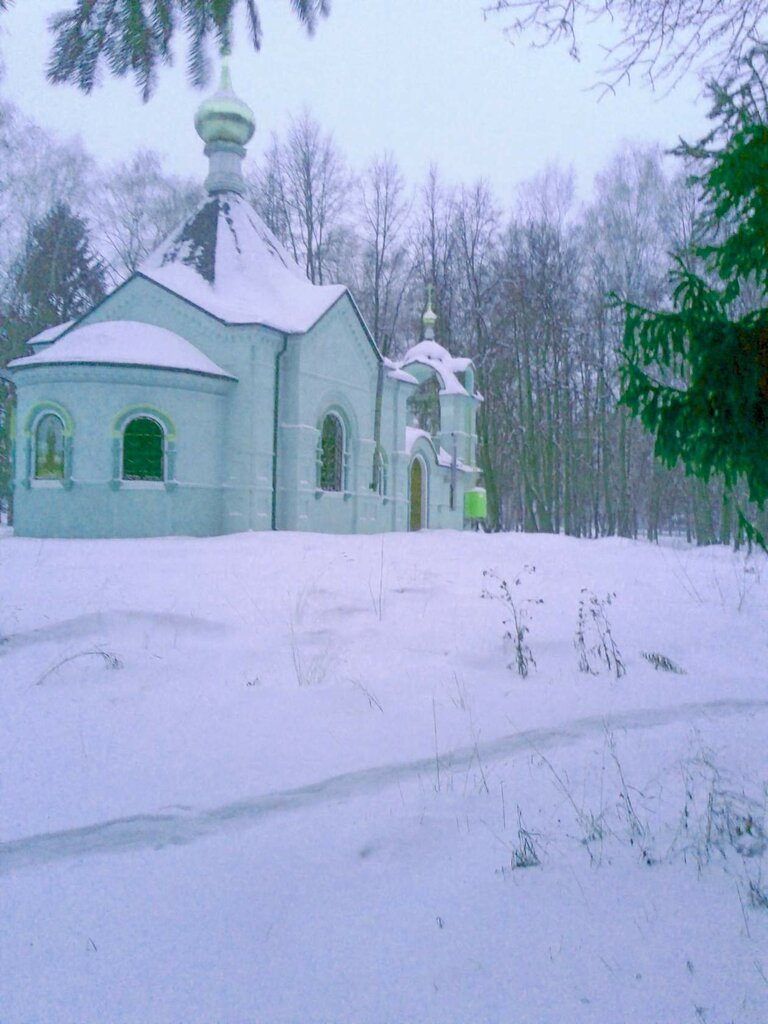 Pravoslavlar ibodatxonasi Церковь Ксении Петербургской, , foto