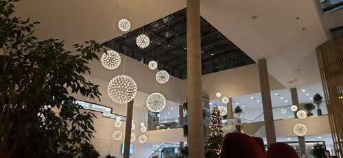 Гостиница Соколёна в Ярославле