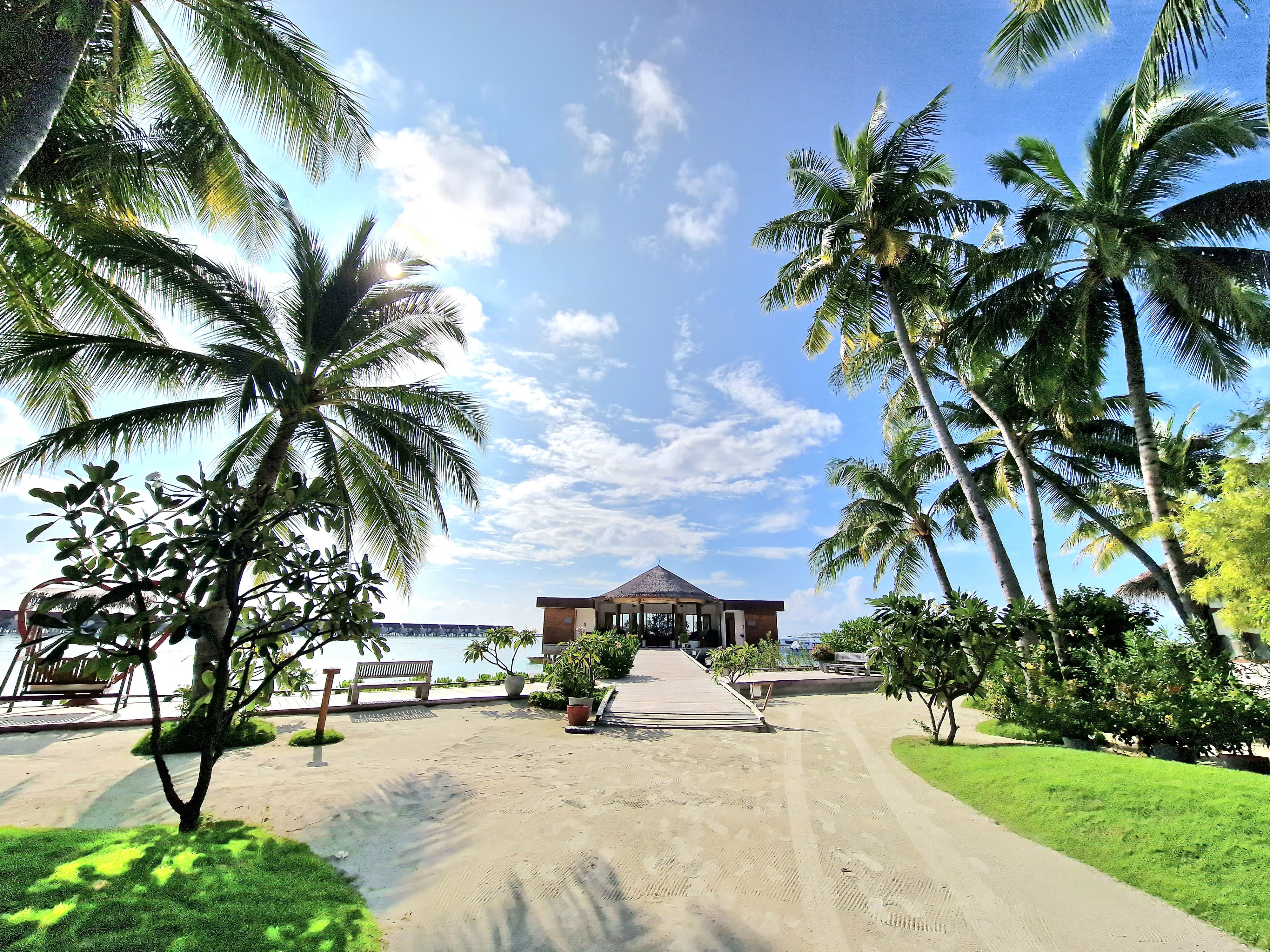 Фото Oblu Select Sangeli