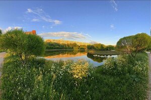 Apple orchard (Saint Petersburg, Frunzenskiy District, Yabloneviy Garden), park