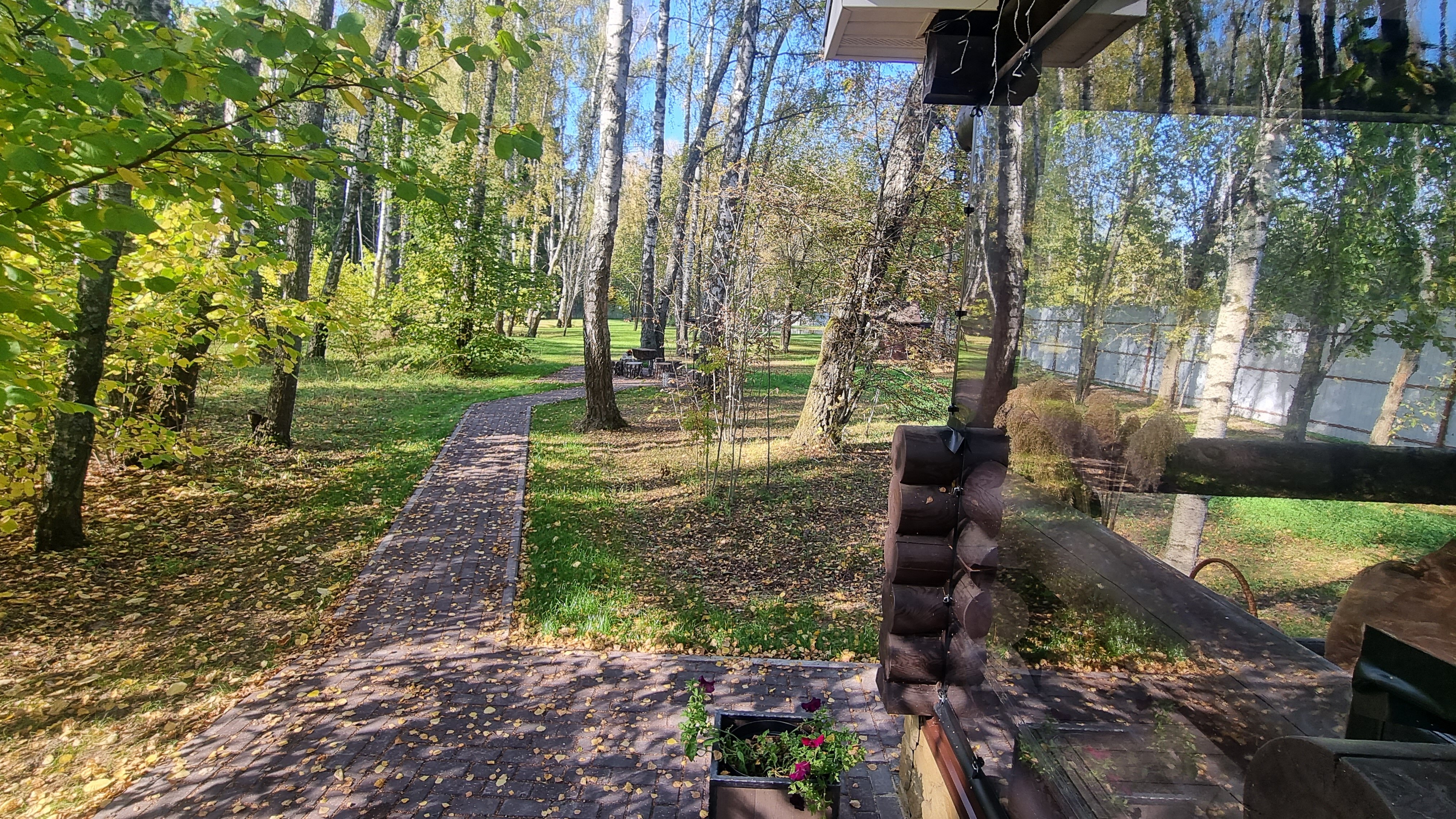 Фото Уютный домик в лесу у пруда