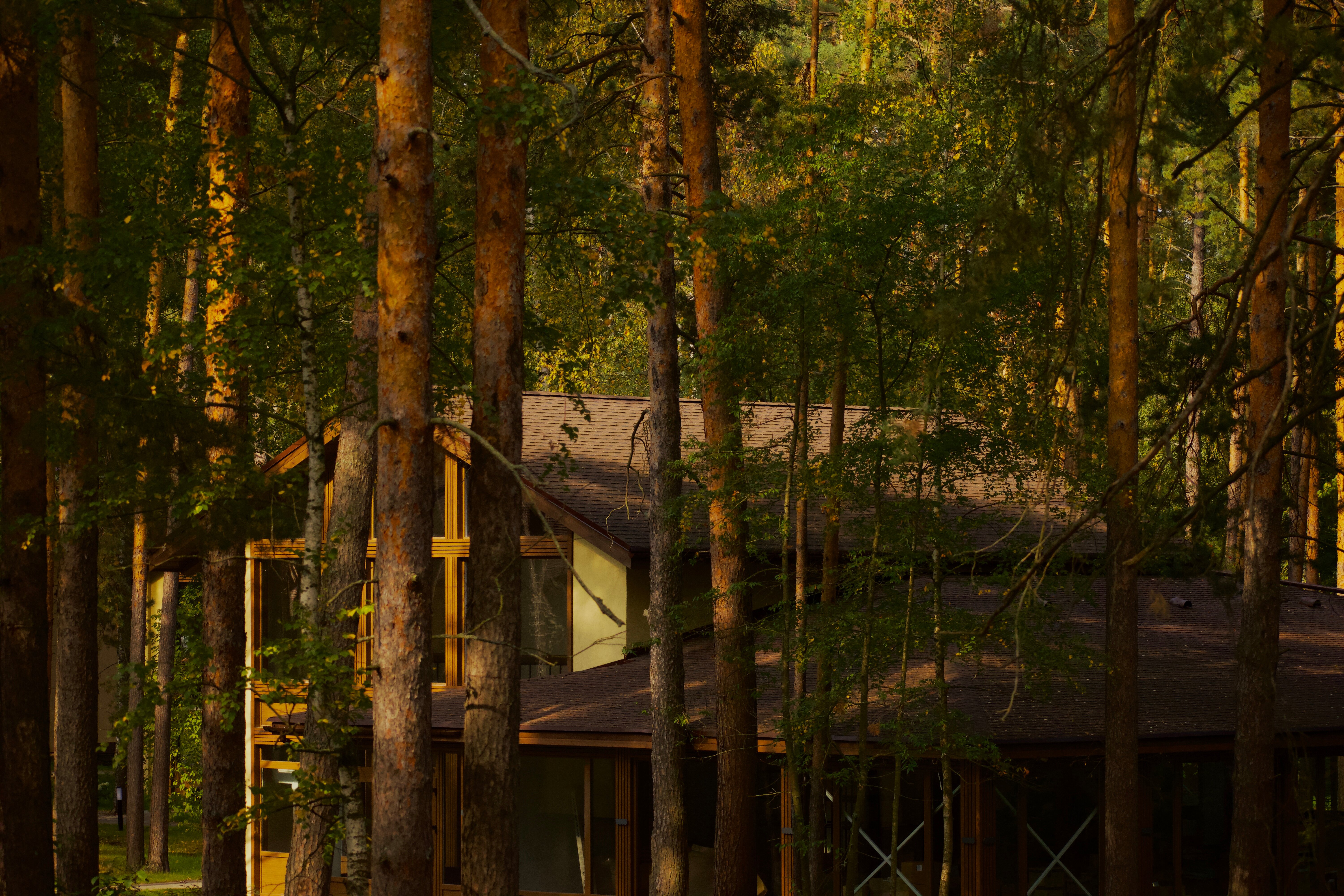 Фото Времена года в зелёном городе