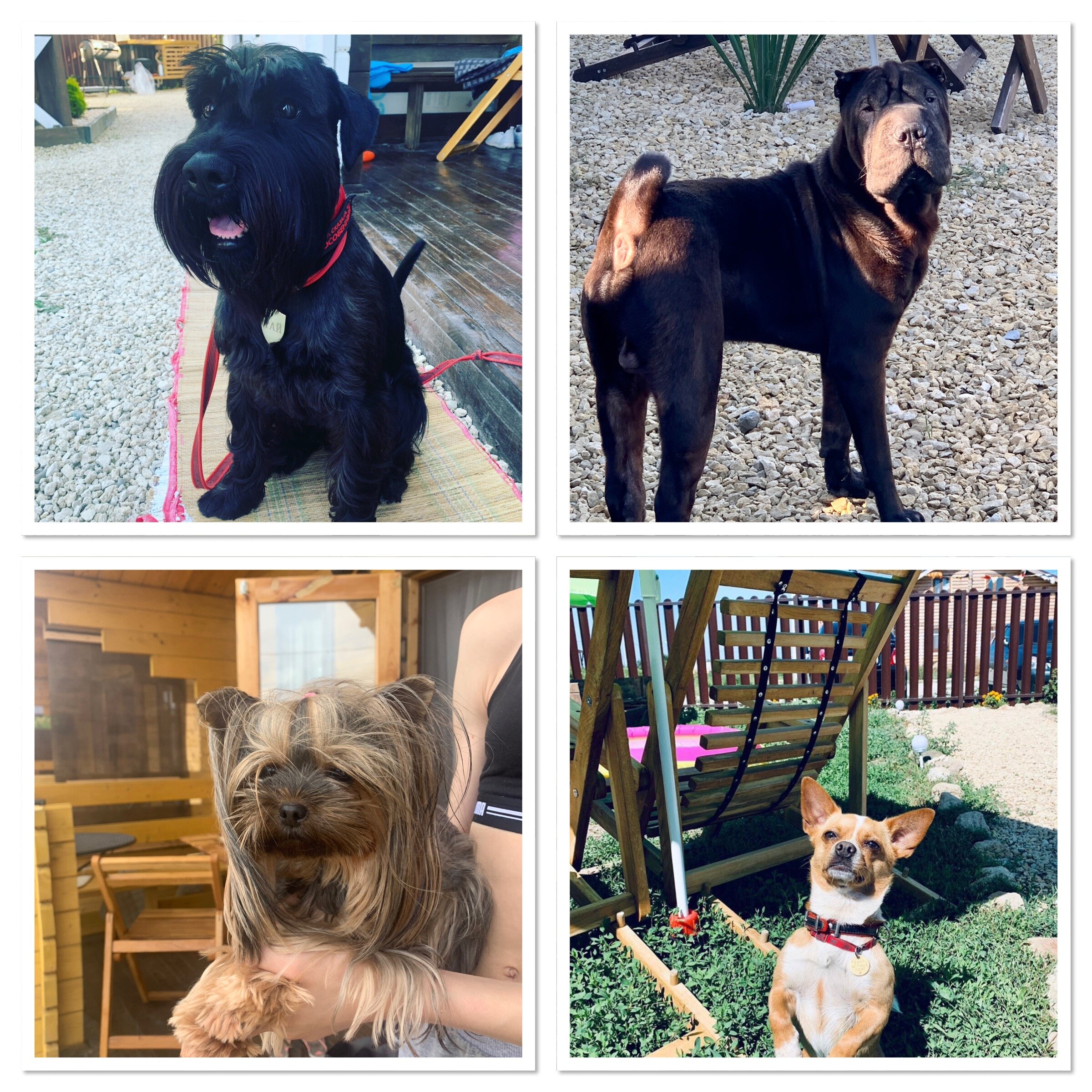 Фото Деревенька