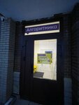 Algoritmika (Settlement of Mebelnoy Fabriki, Rassvetnaya ulitsa, 5), computer courses