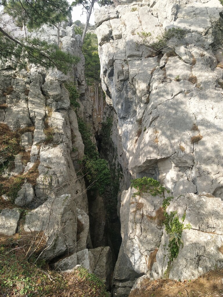 Landmark, attraction Крепость Алупка-Исар, Republic of Crimea, photo