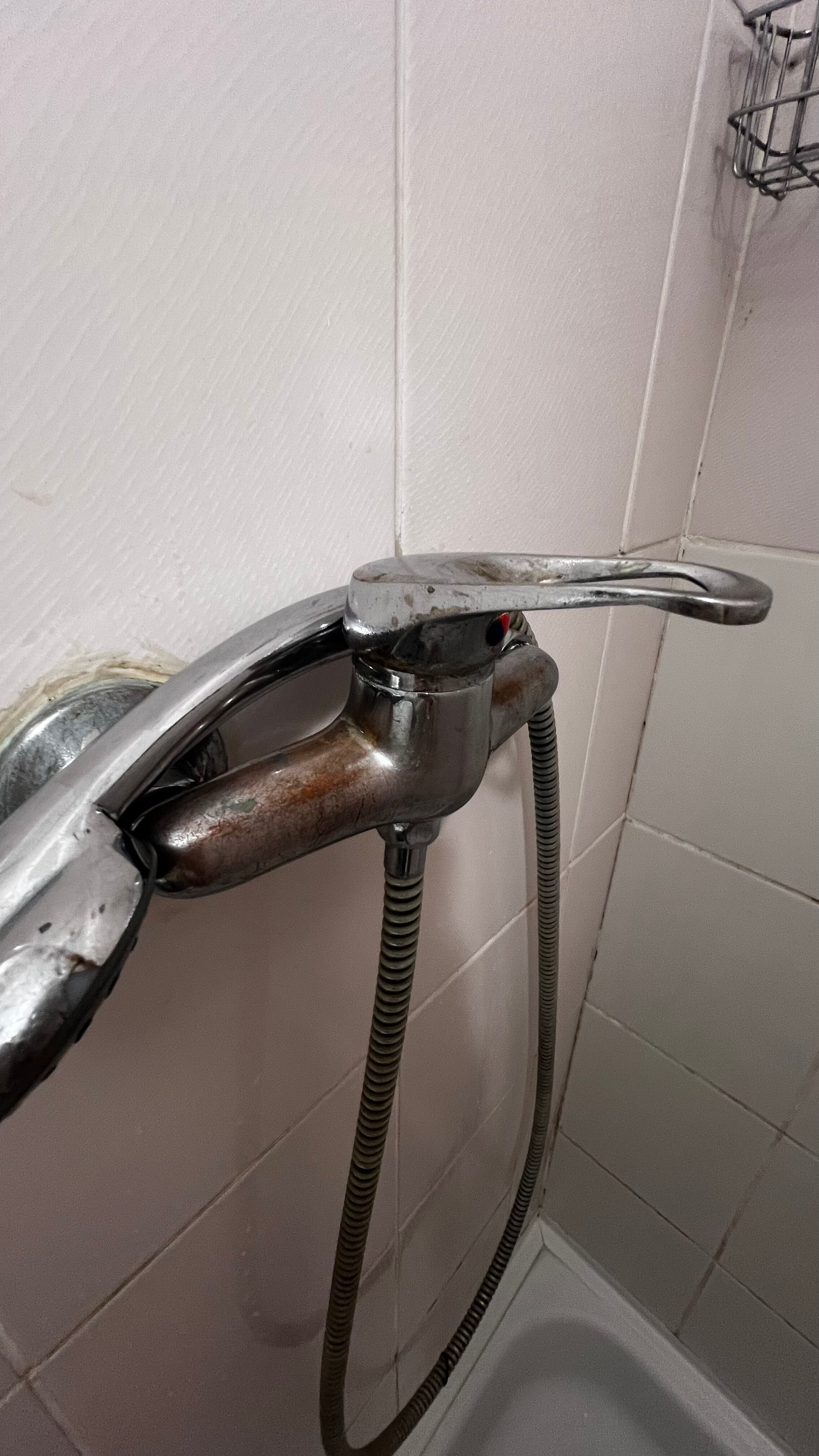 Фото Калина