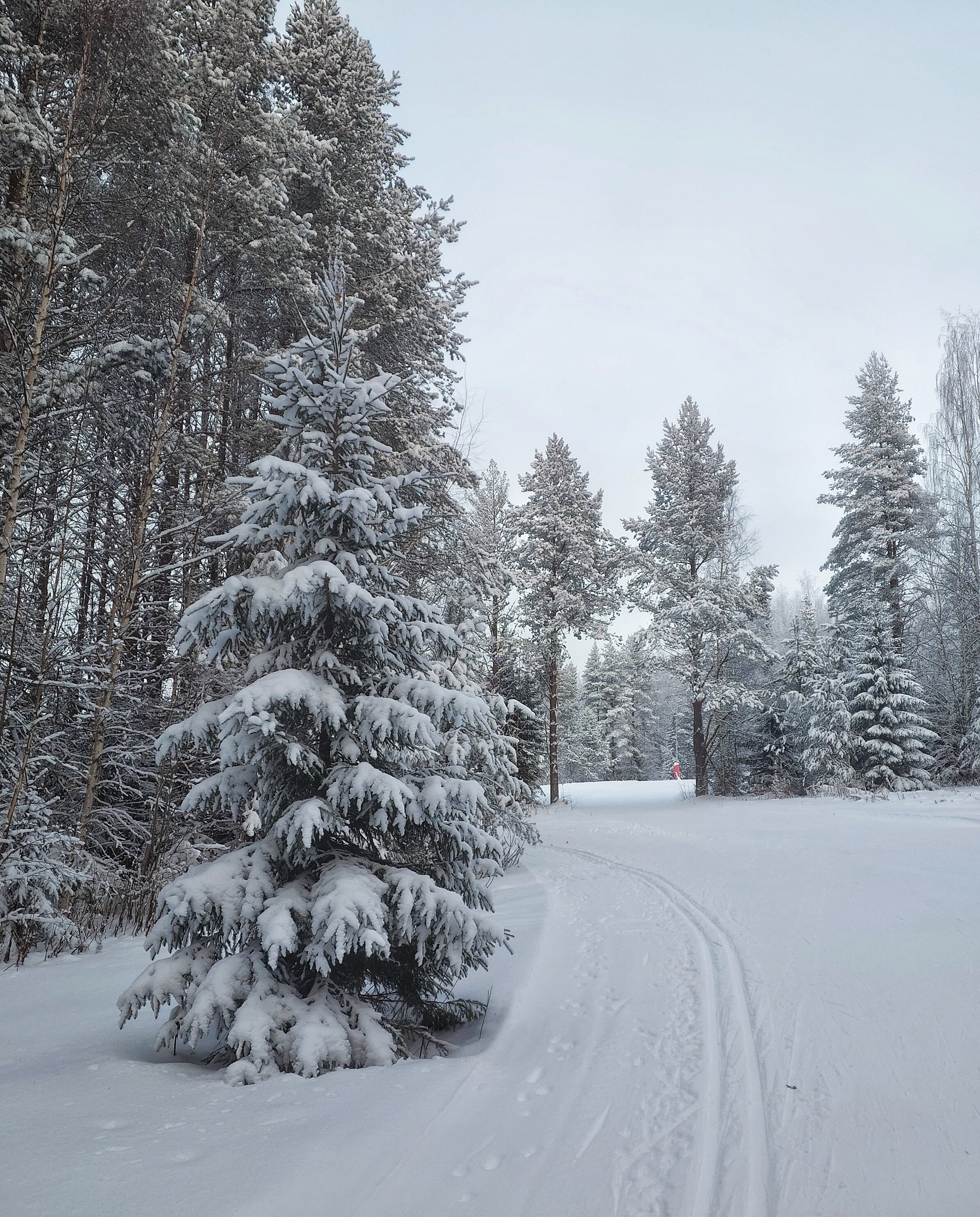 Фото Малиновка