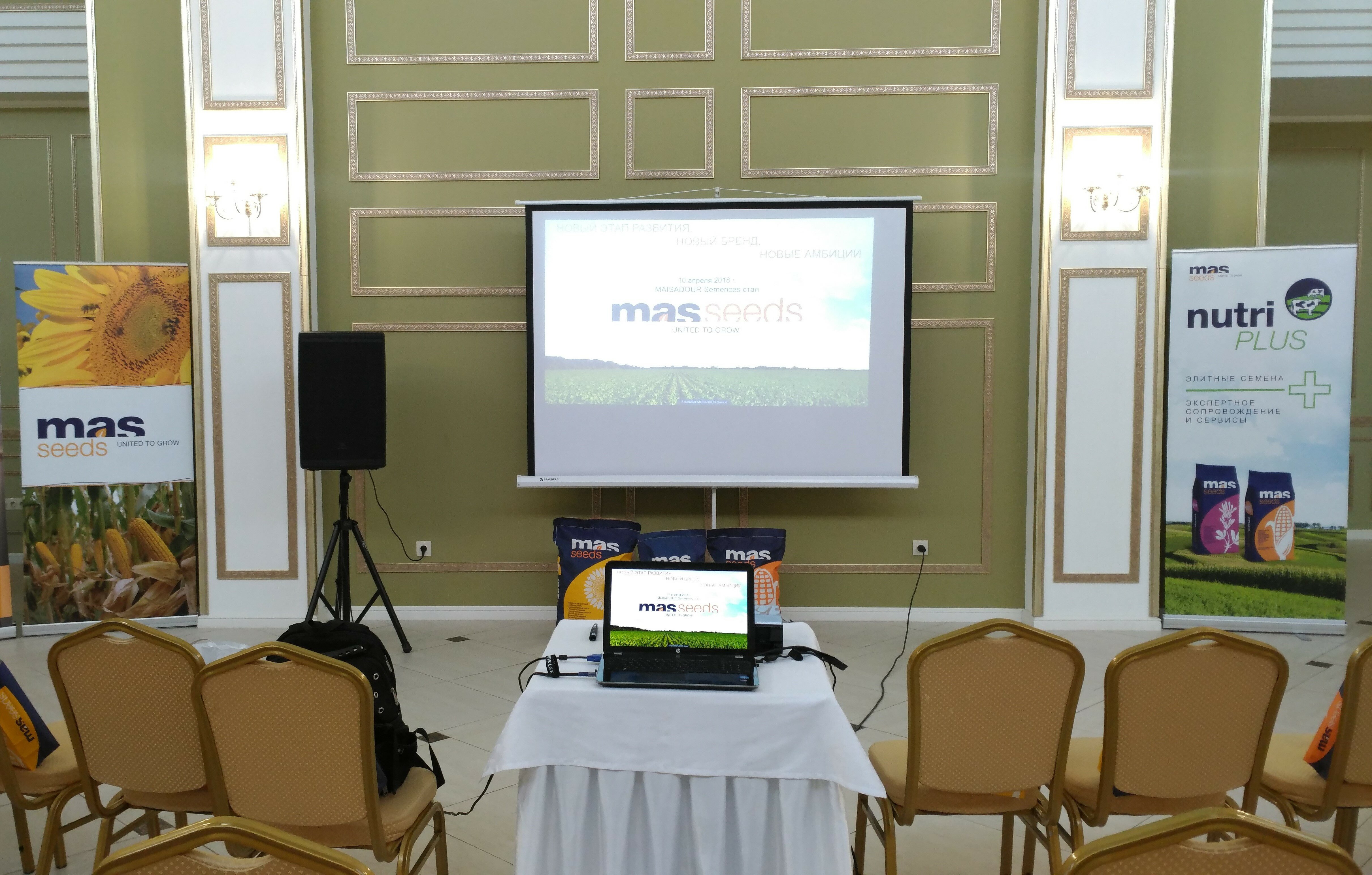 Фото Белая Акация