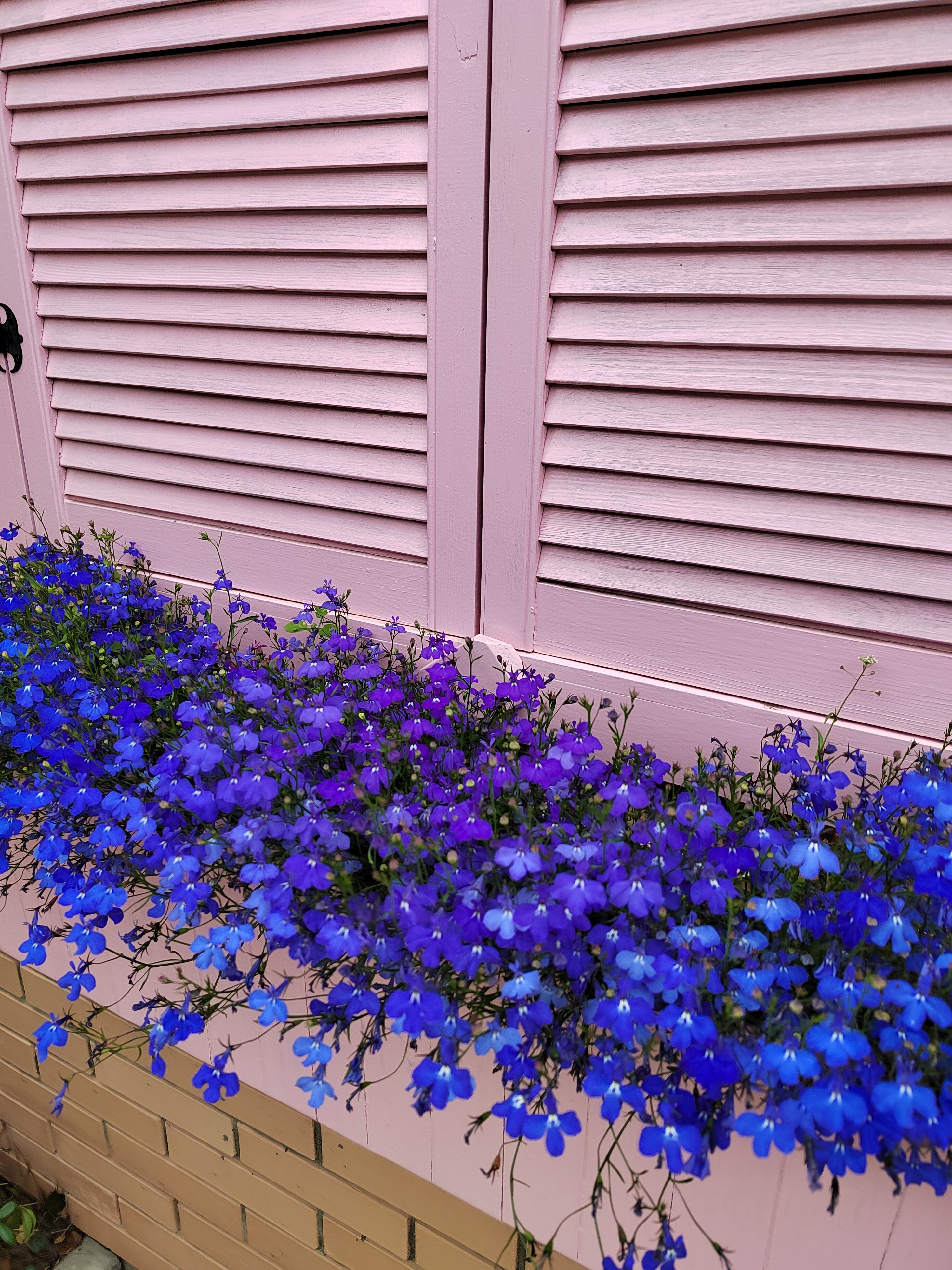 Фото Provence de Luxe