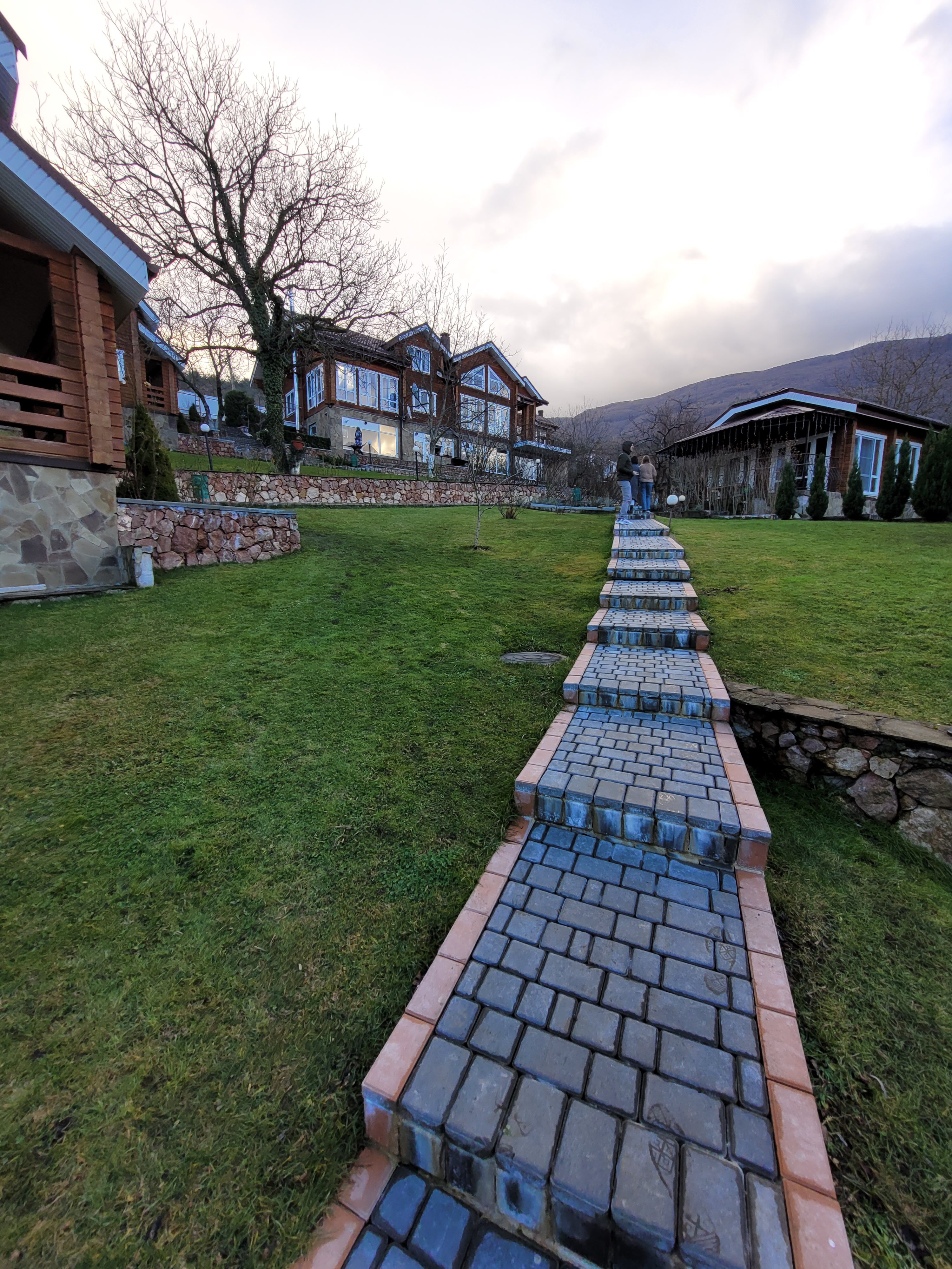 Фото Пальмира