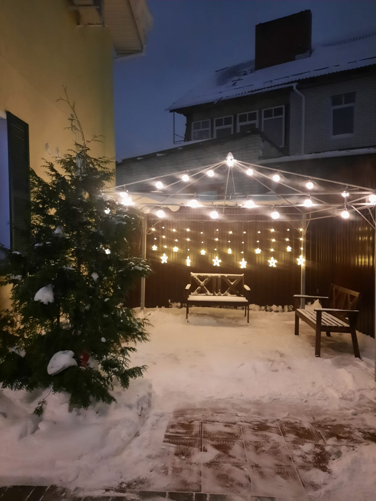 Фото Амосов