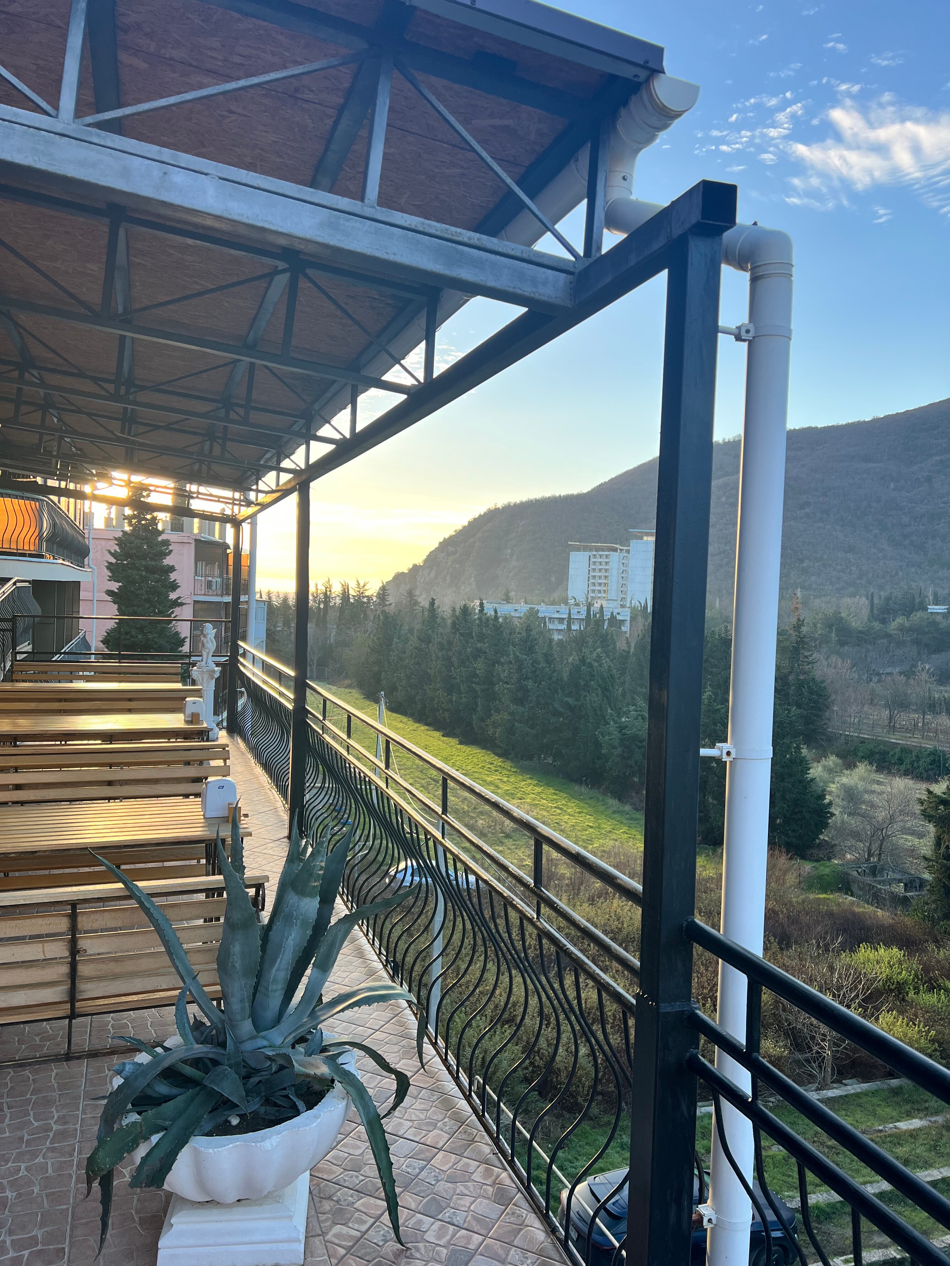 Фото Фламинго