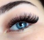LoginovaLash (ulitsa Akademika Kargina, 36Б), eyebrow and eyelash salon