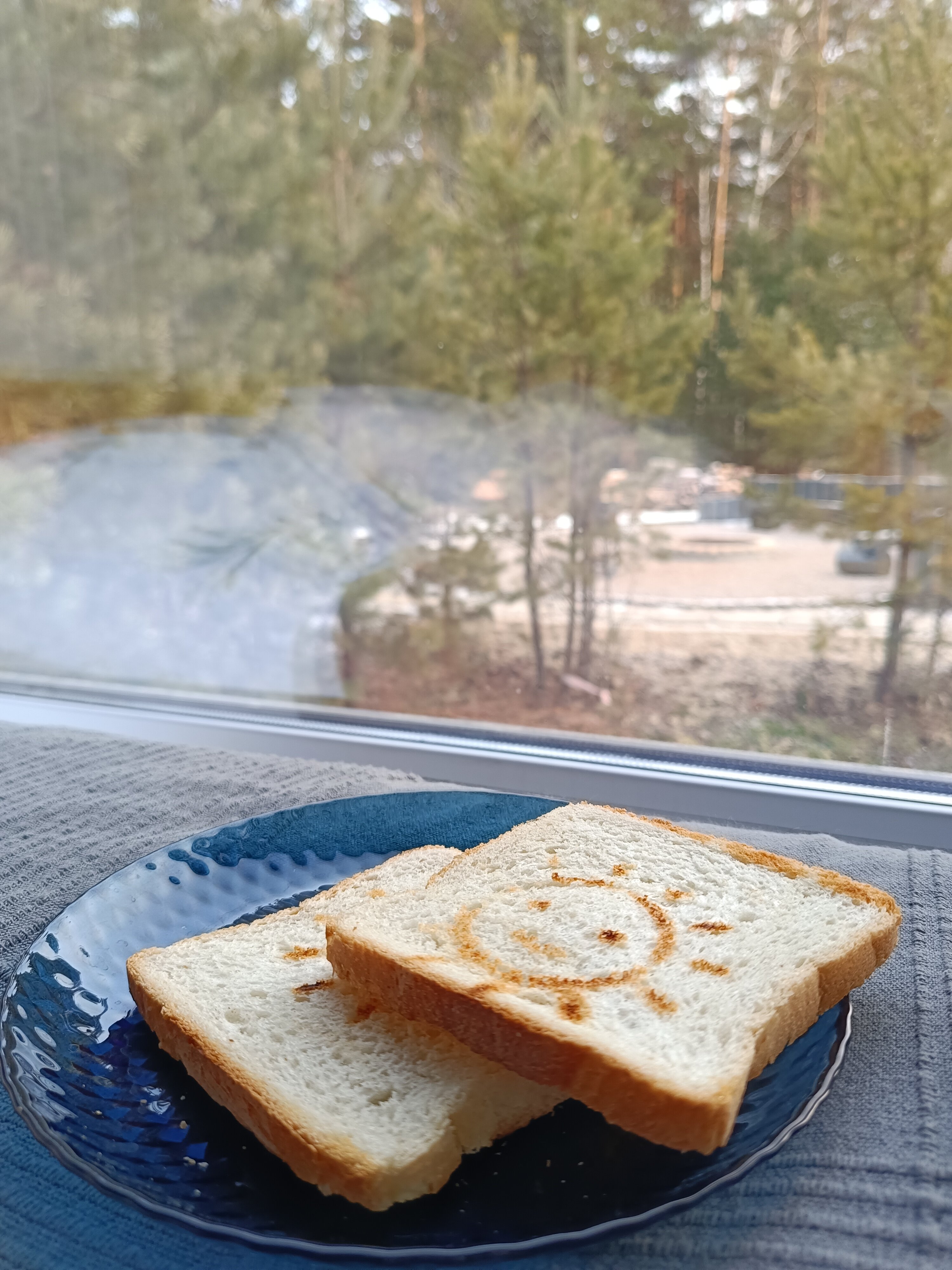 Фото БелкиПарк