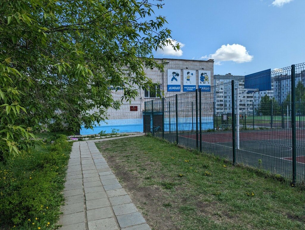 مدرسة رياضية Detsko-yunosheskaya sportivnaya shkola № 4 ، إيجيفسك، صورة