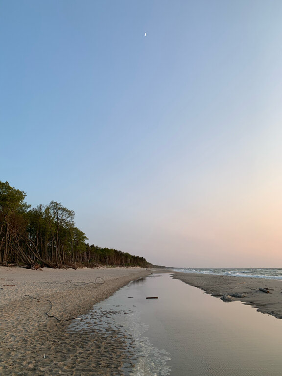 Фото Понарт