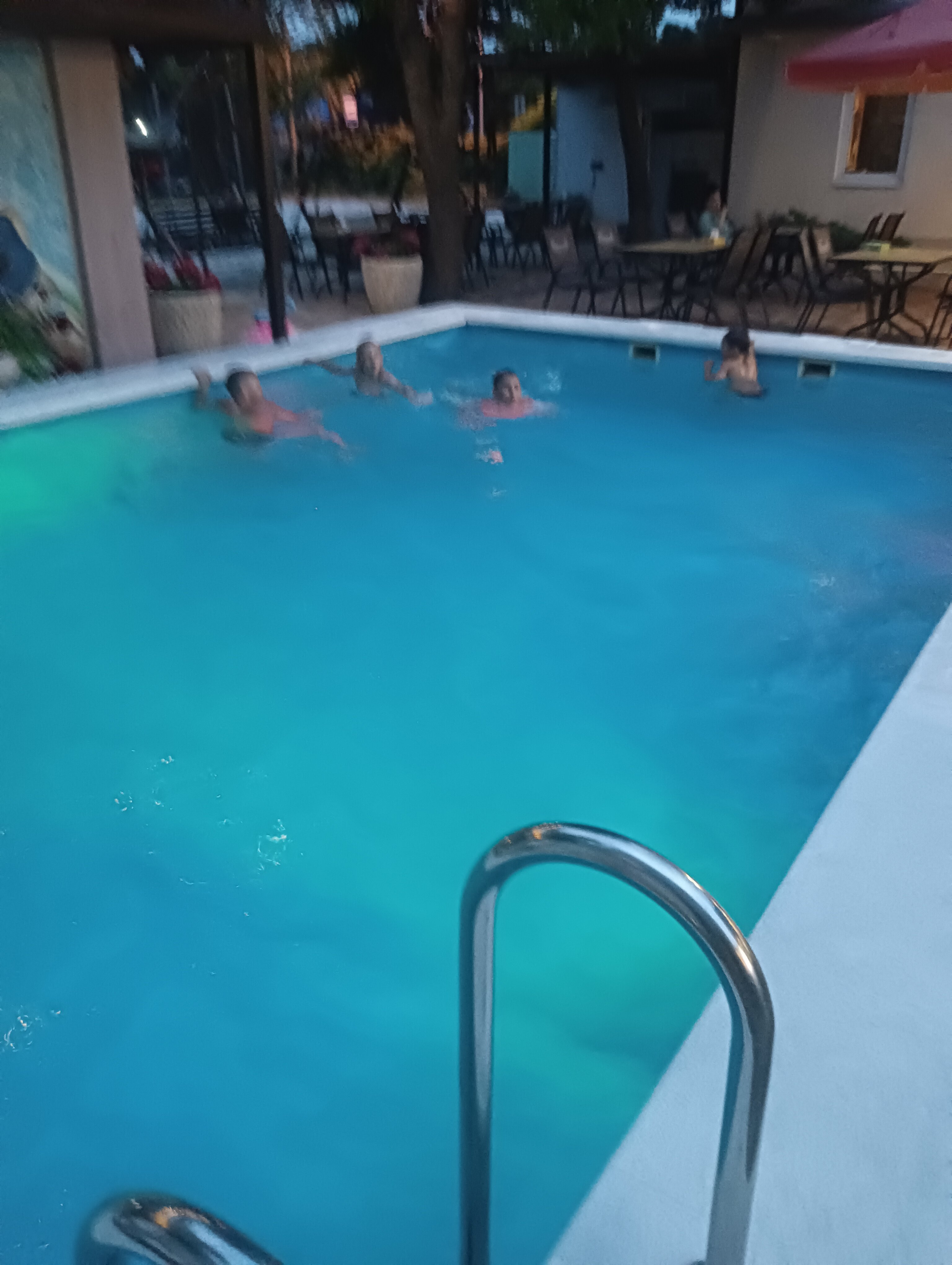 Фото Золотая Лилия