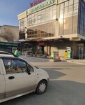 Financier (Tashkent, Shaykhantahur District, Gulabad Residential Area, Gulobod Street), accountants