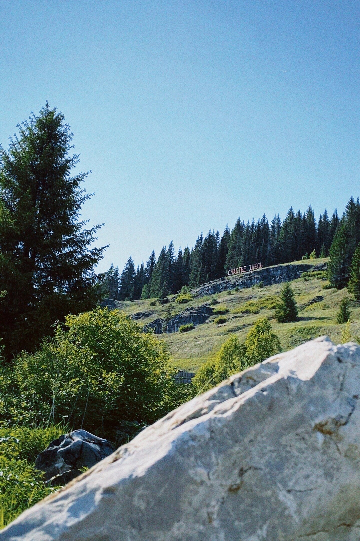 Фото Территория