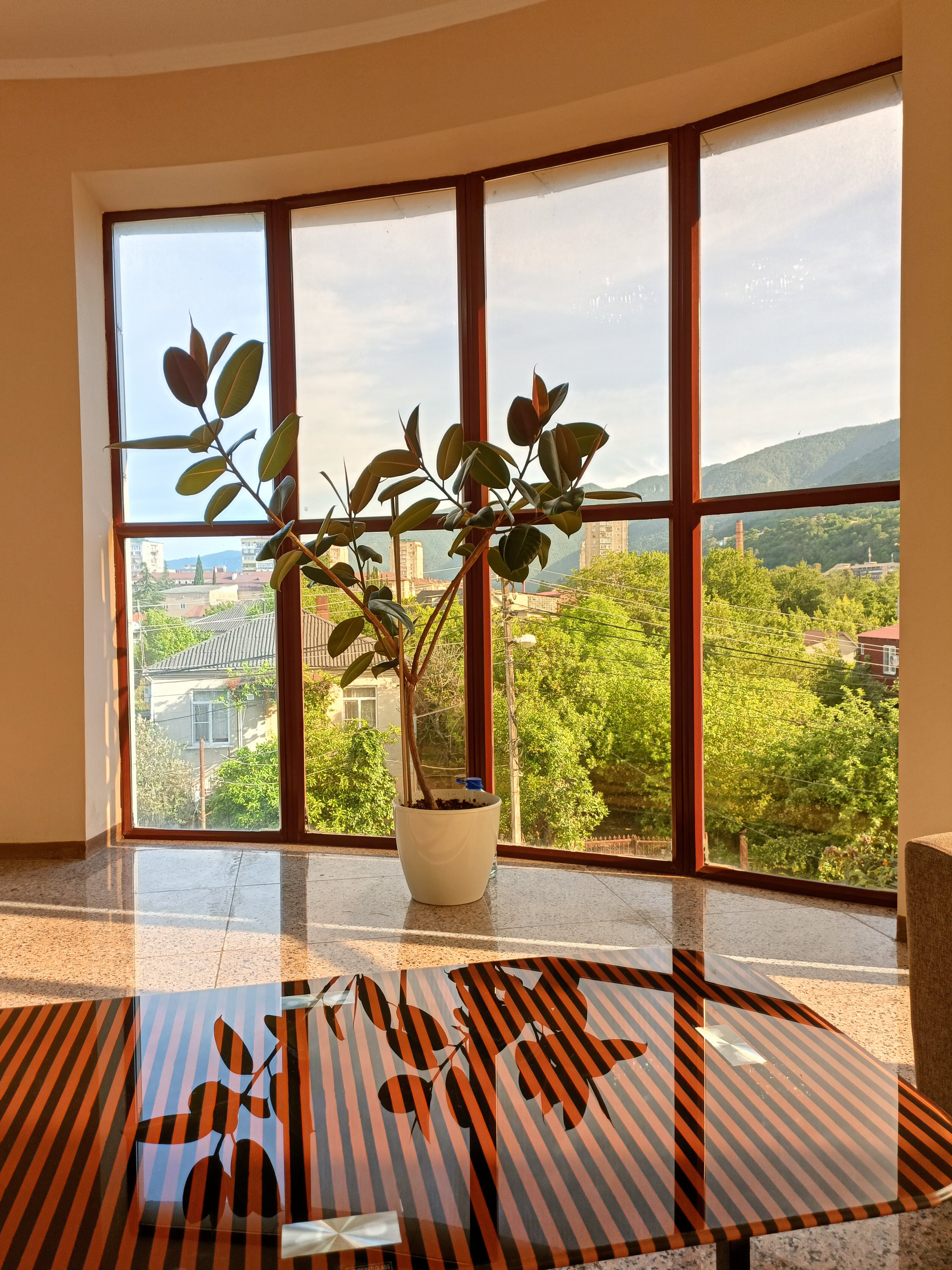 Фото Репруа