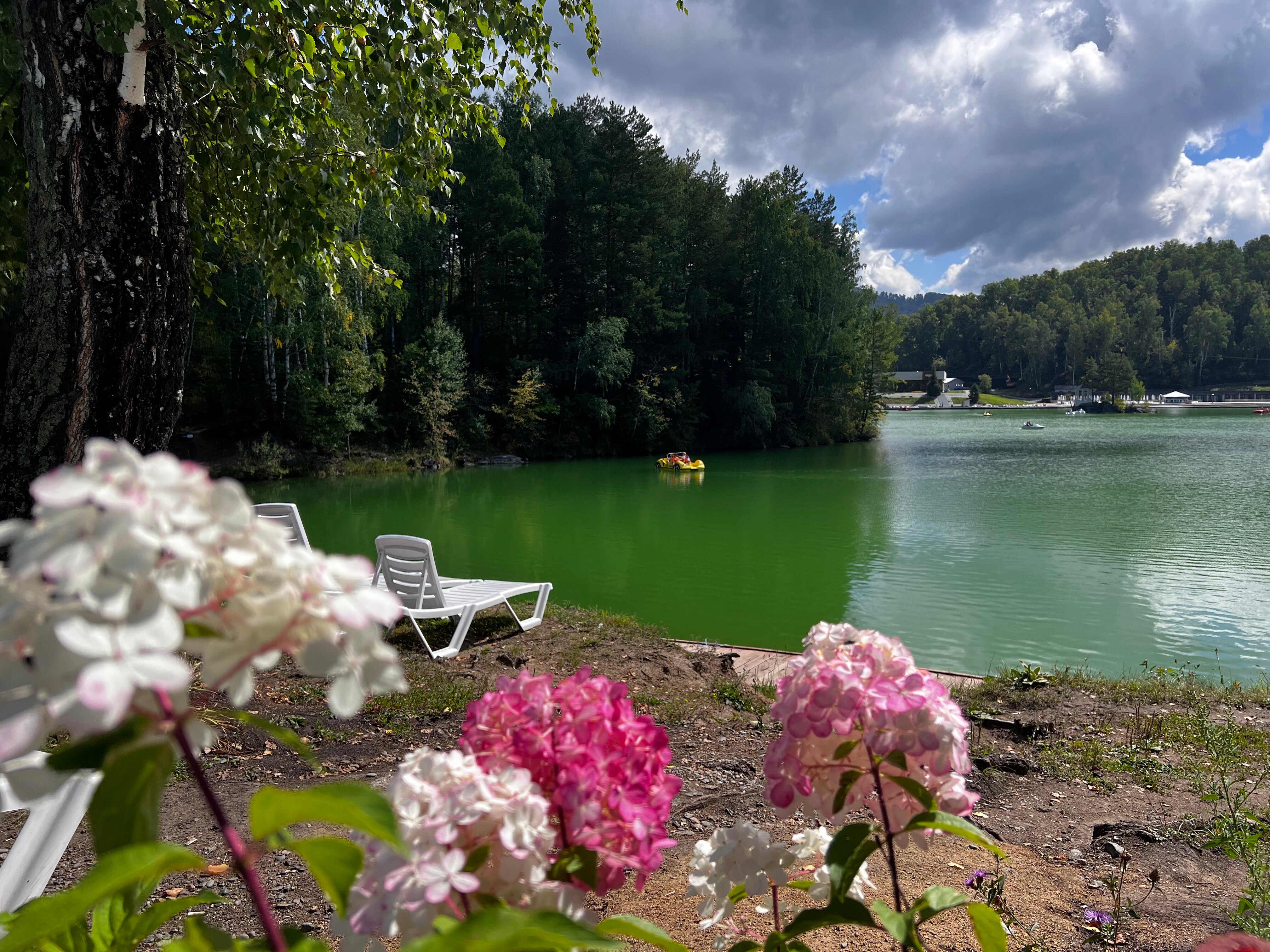 Фото Берёзка