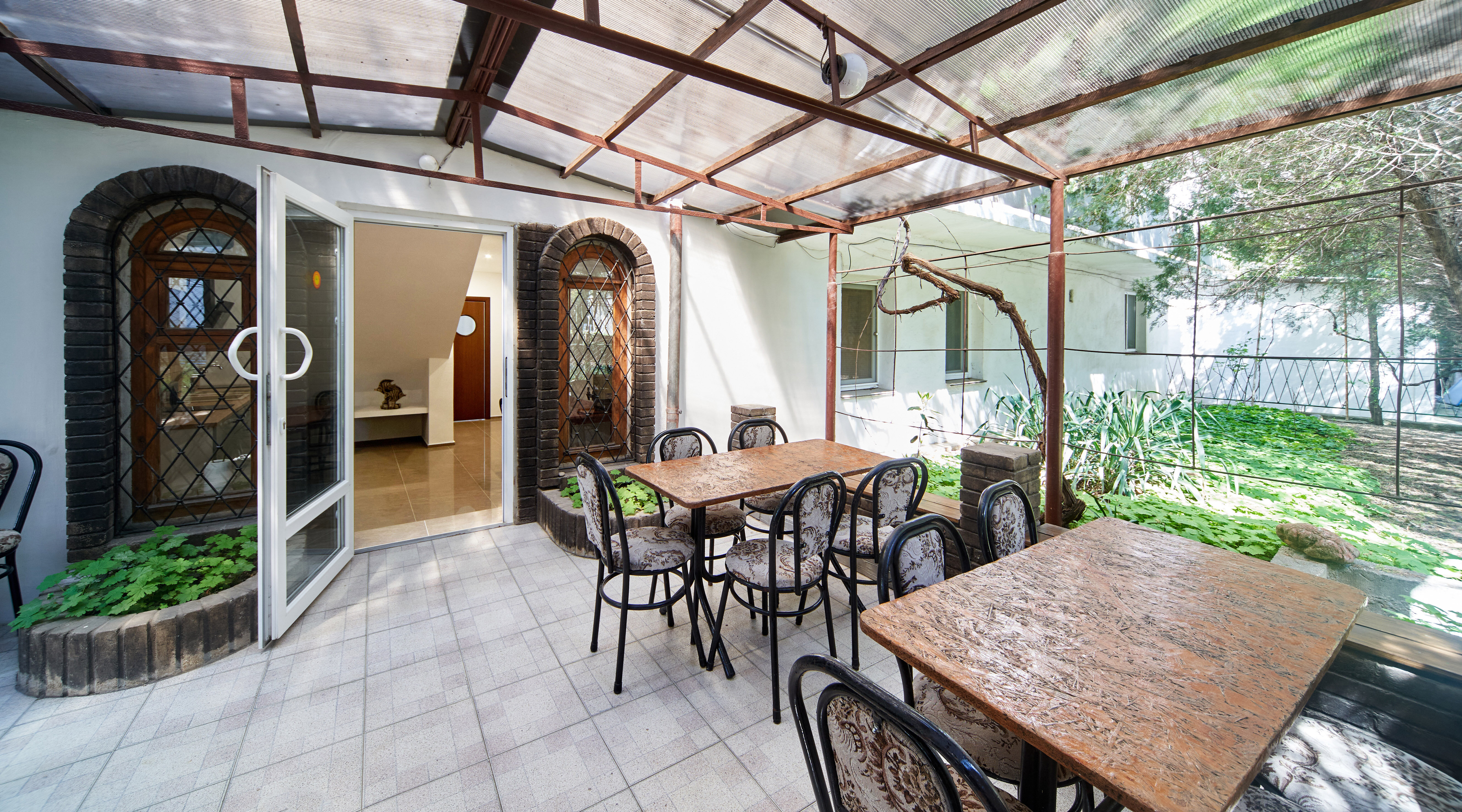 Фото Афалина