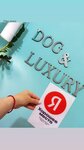 Dog-Luxury (Skhodnenskaya Street, 44/17) ، صالون حيوانات أليفة
