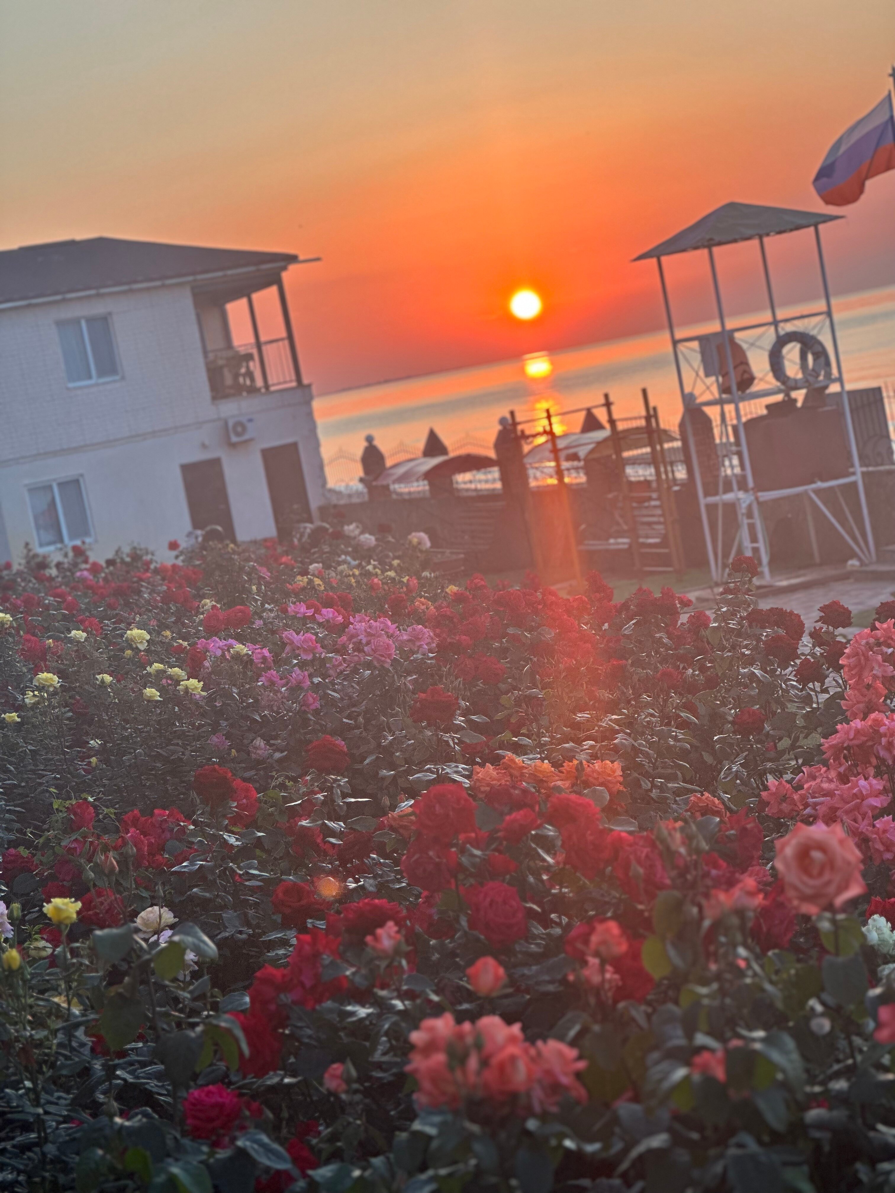 Фото Планета Лета