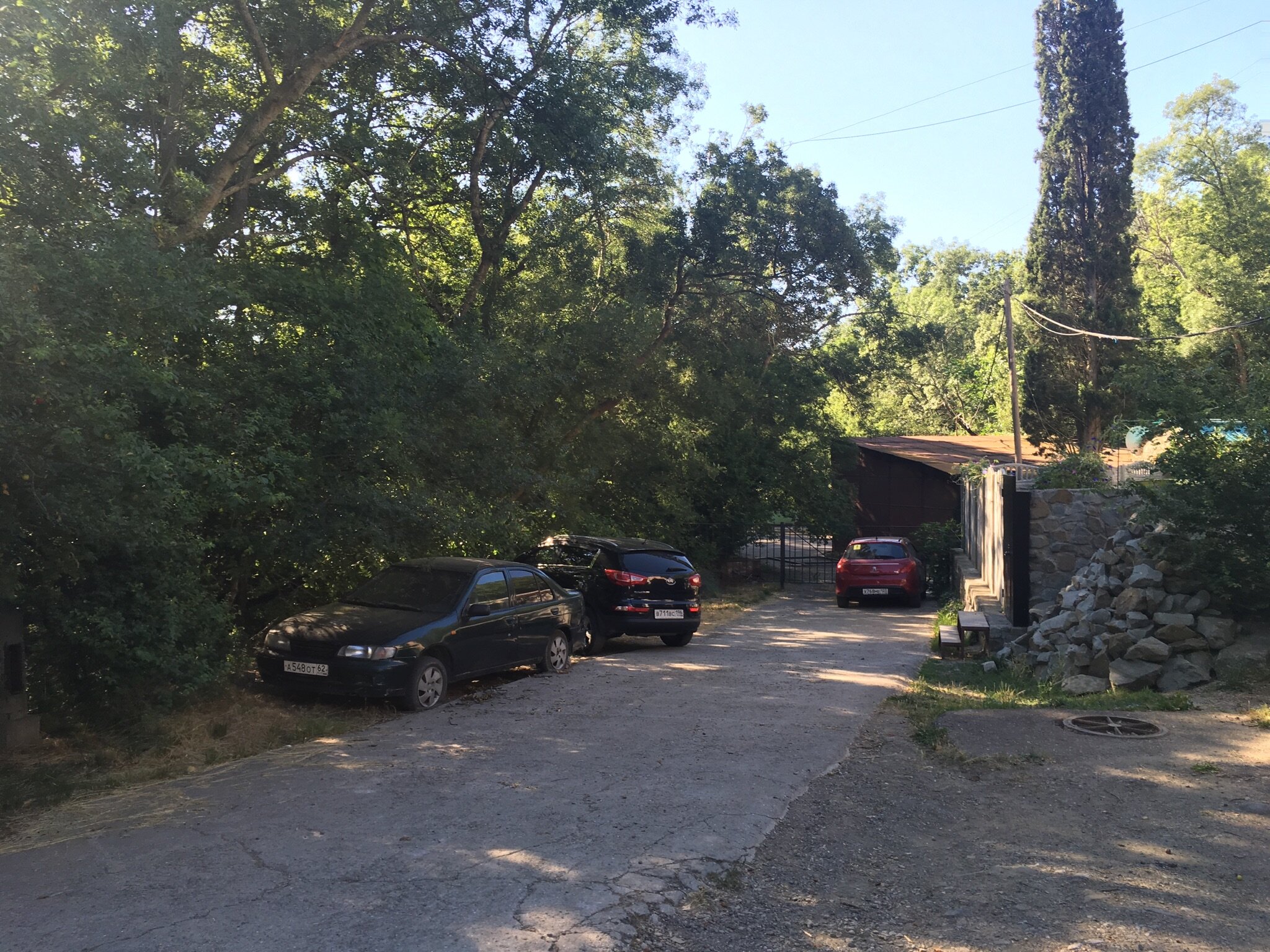 Фото Феерия