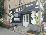 Dianea (Khudyakova Street, 27), flower shop