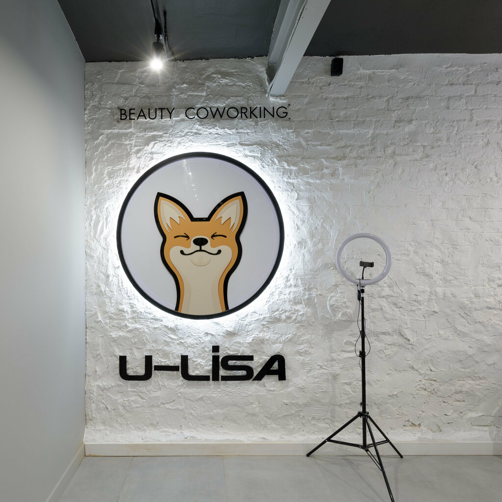 Coworking U-lisa, Moscow, photo