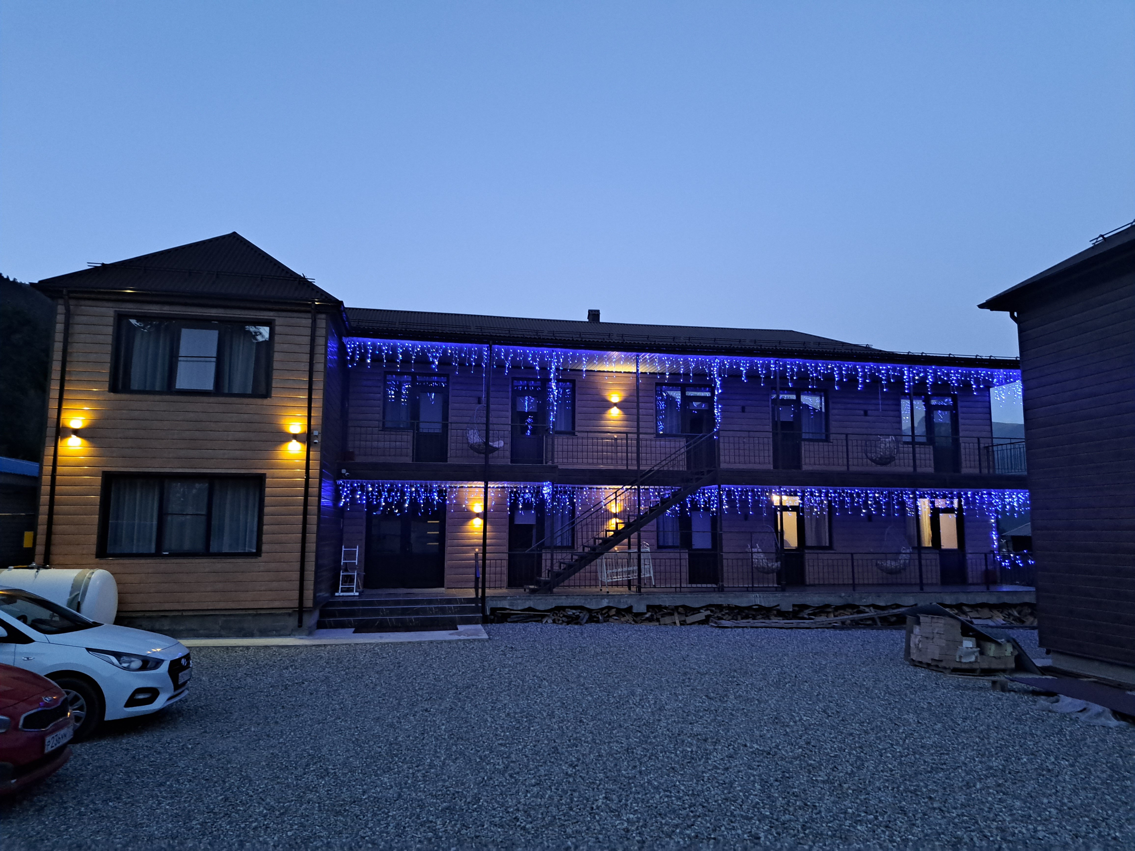 Фото Пихты Snow Point