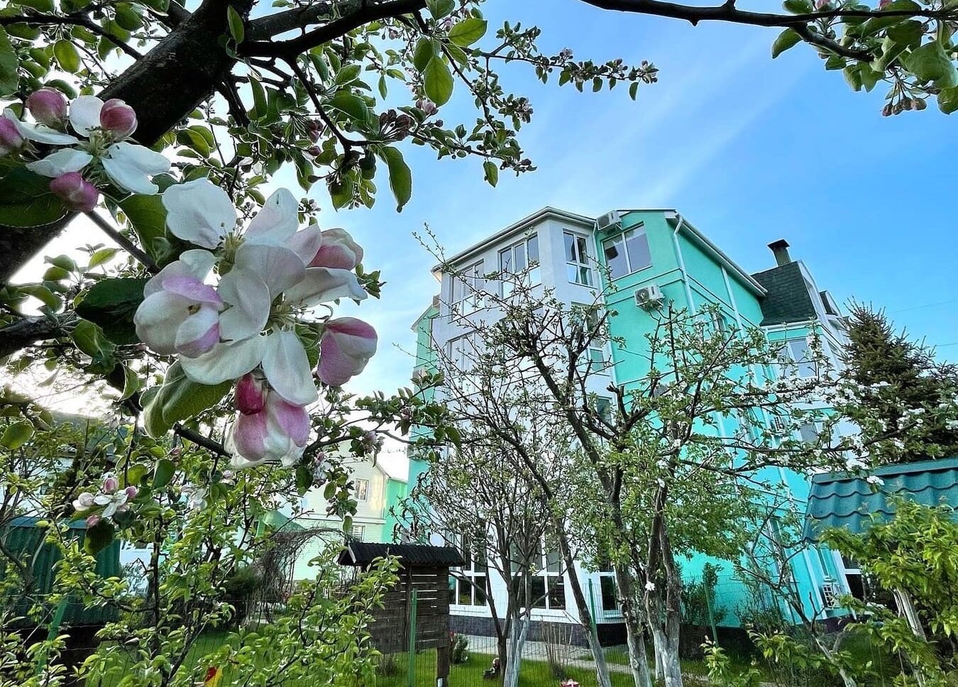 Фото Кентавр