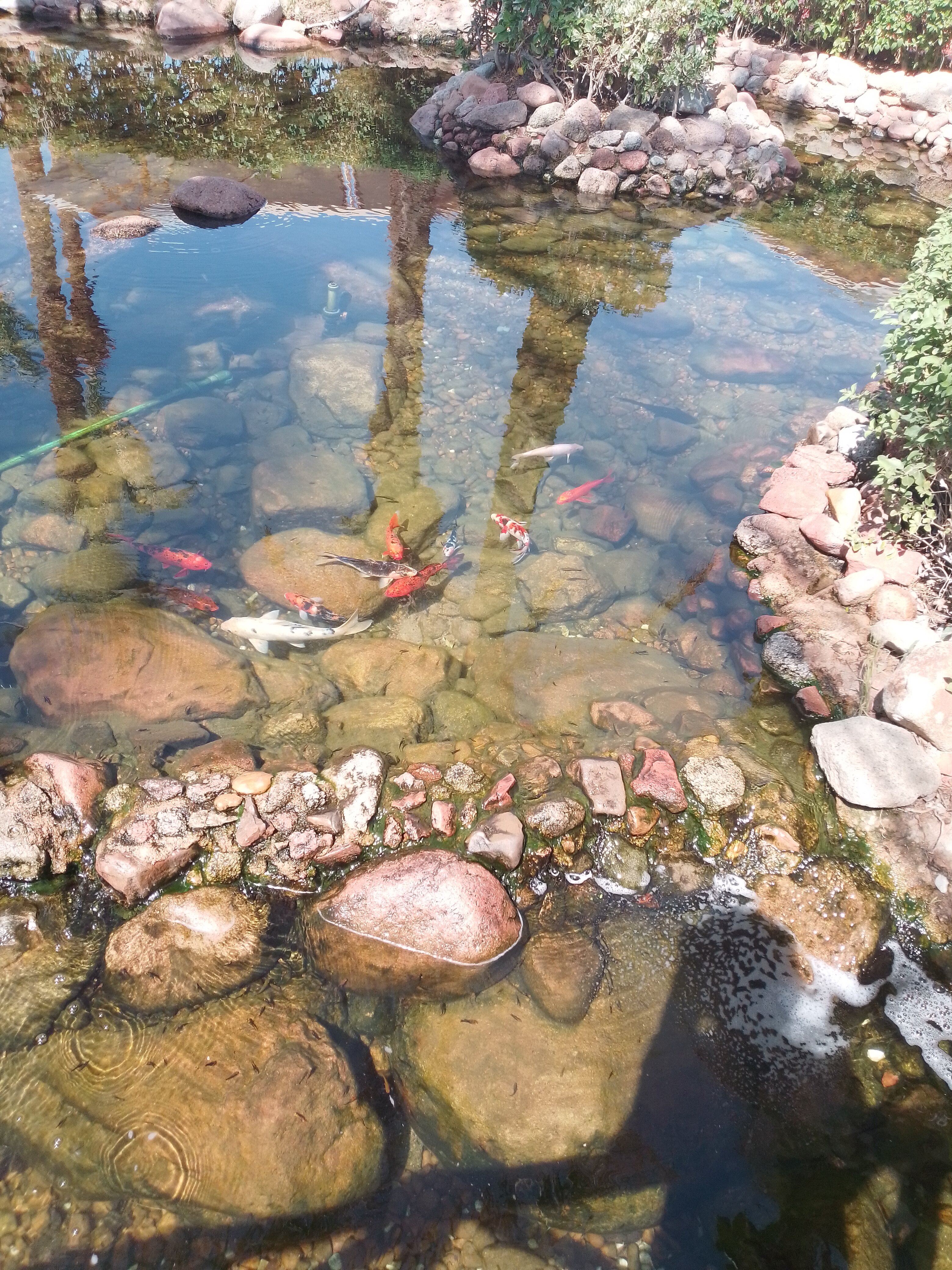 Фото Jaz Fayrouz