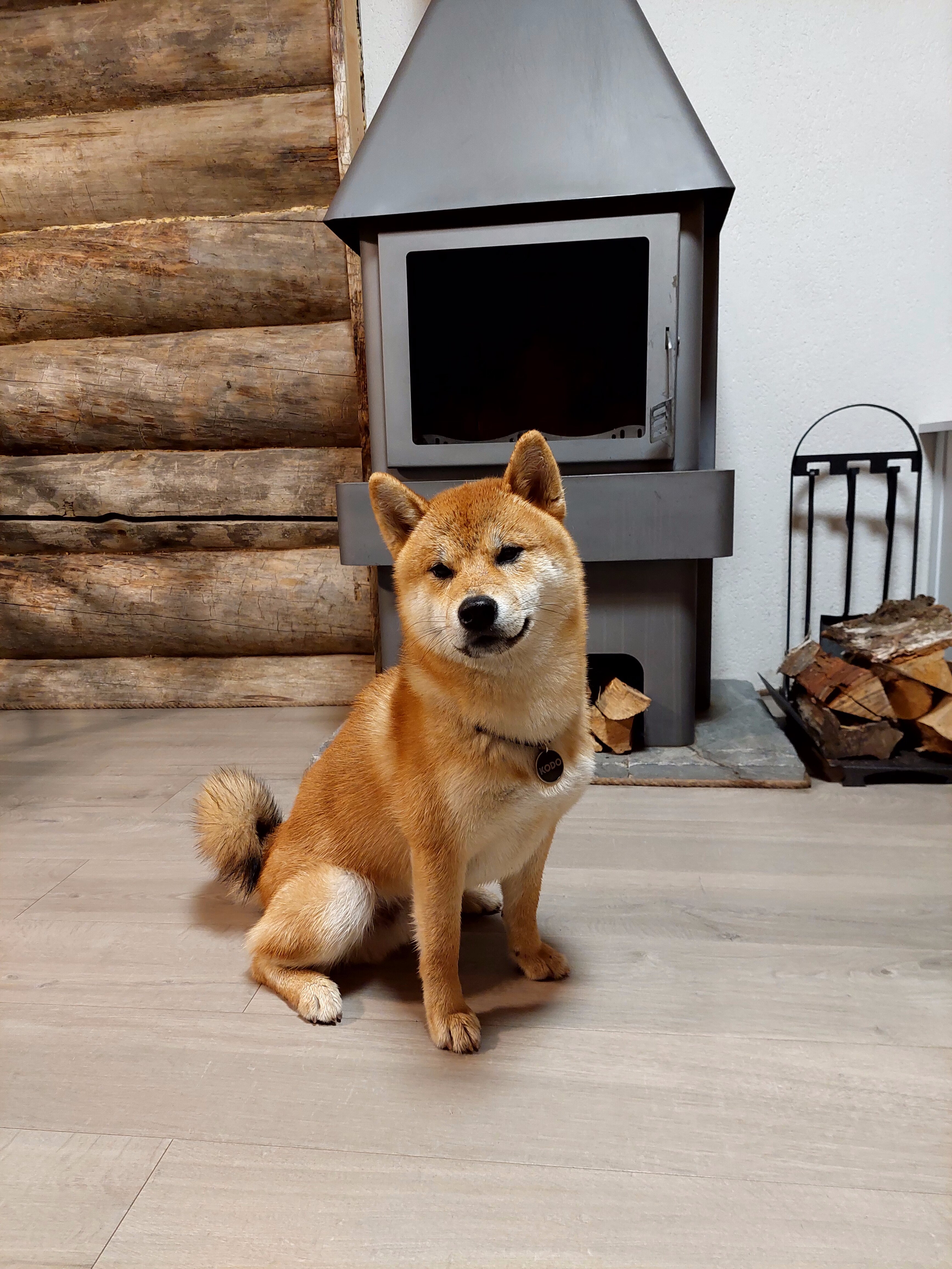 Фото Медвежья Ривьера