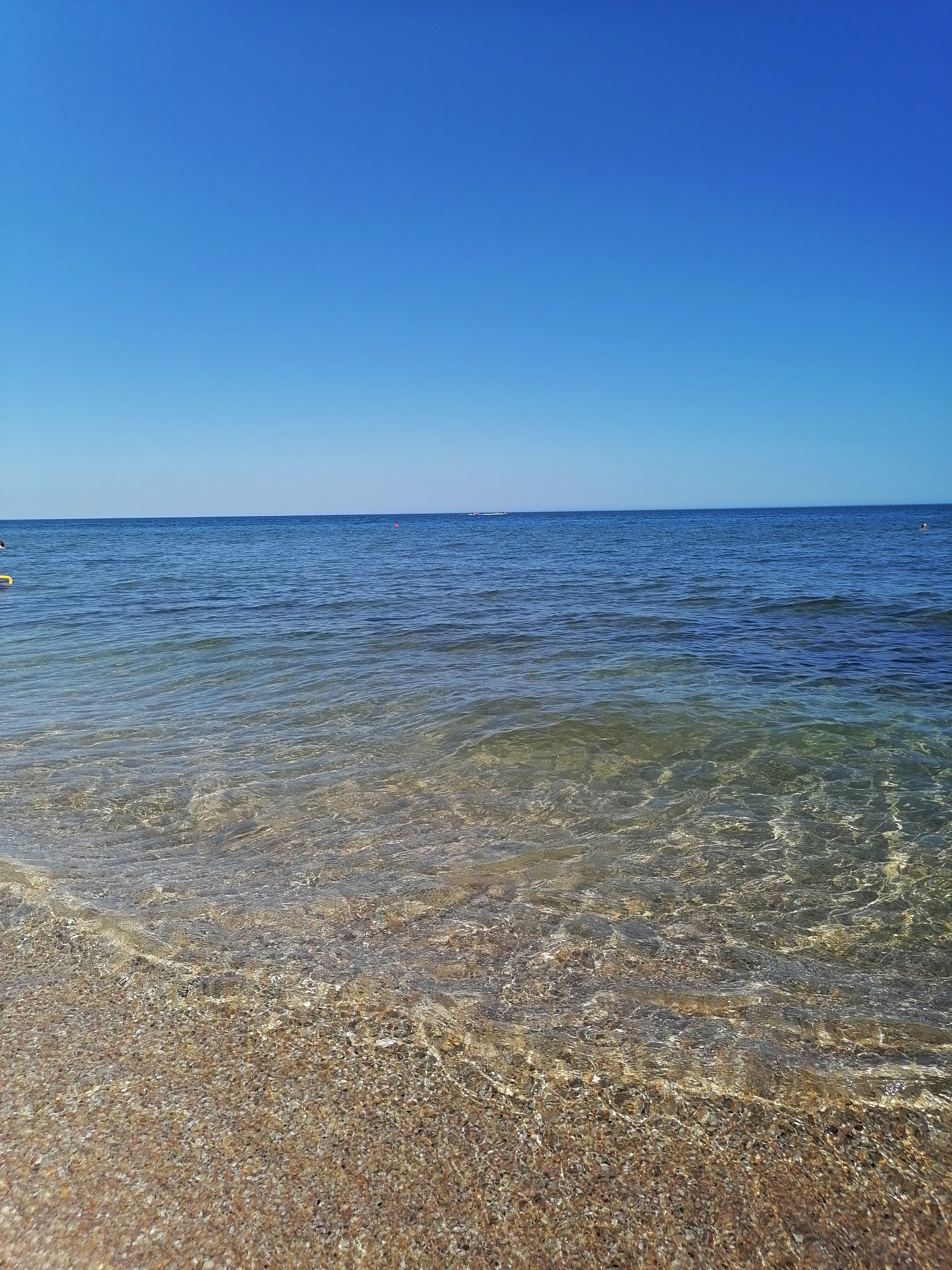 Фото Протос