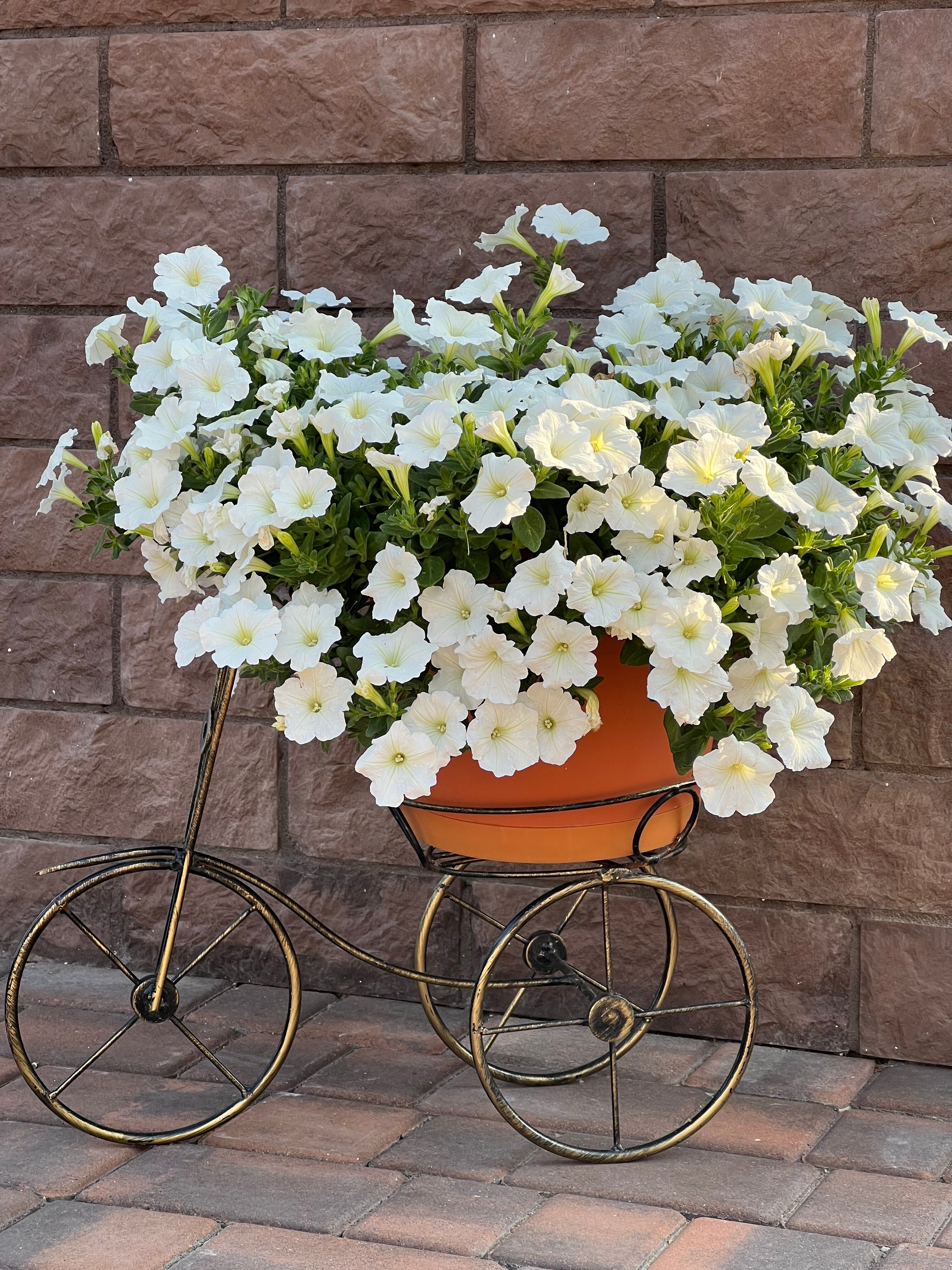 Фото Дом на Ленина