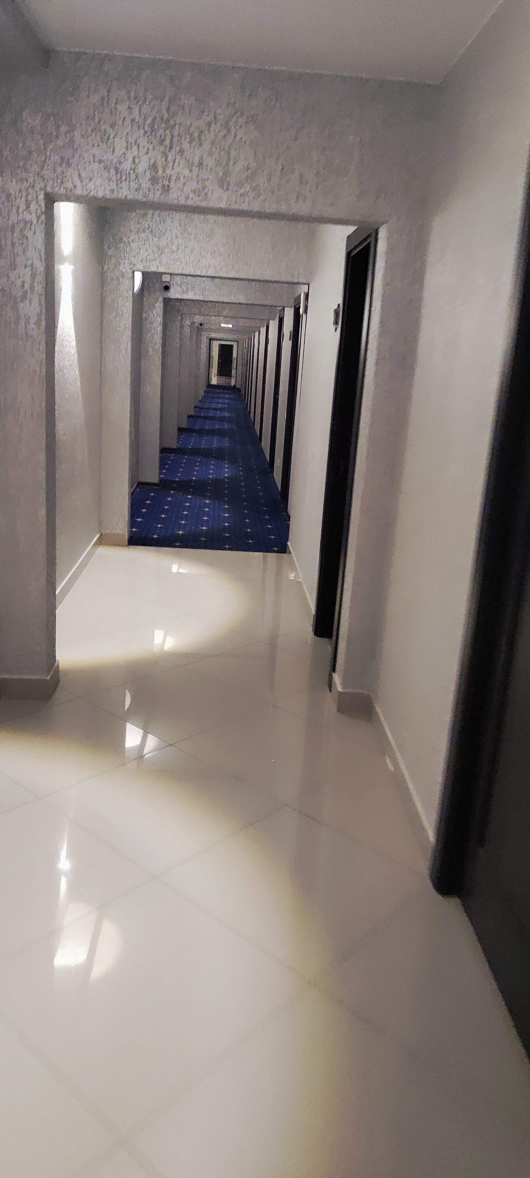 Фото Олимпиада