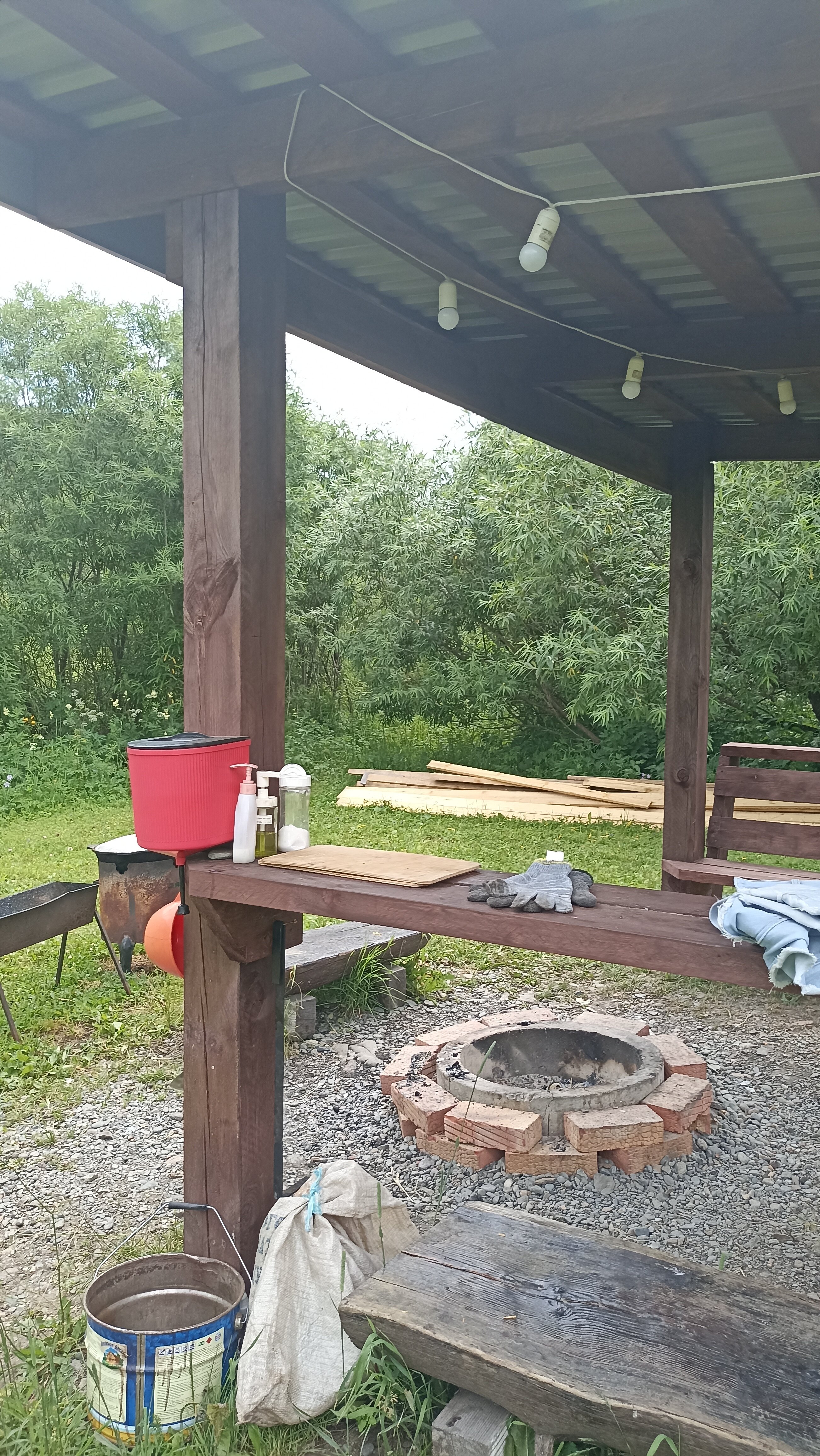 Фото Большие Коты