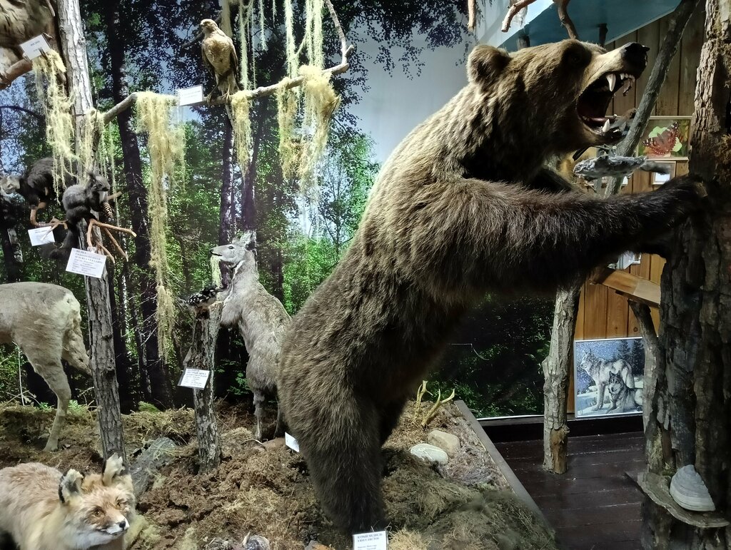 Museo Музей Природы Южного Прибайкалья, , foto