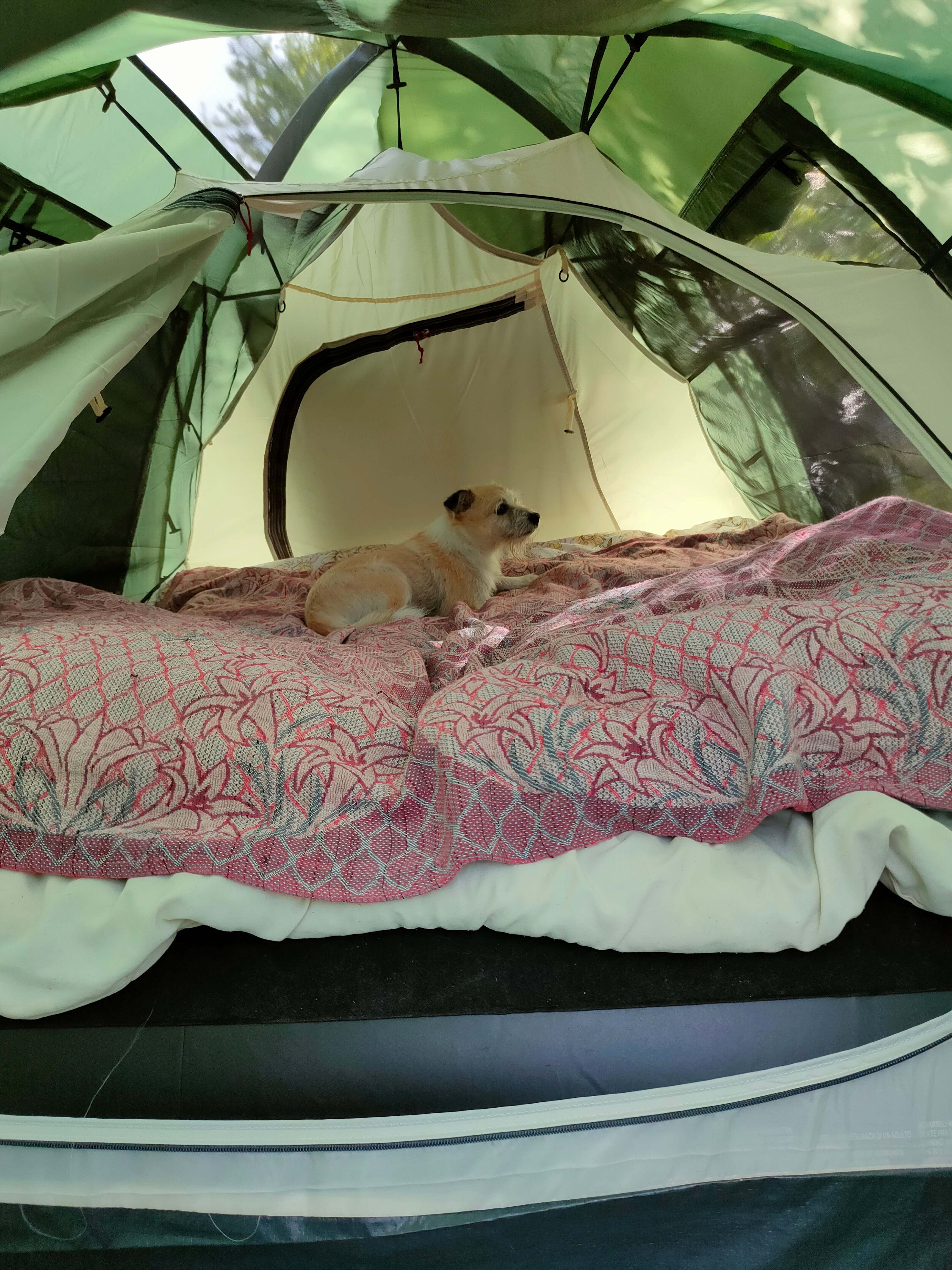 Фото Окское Колесо