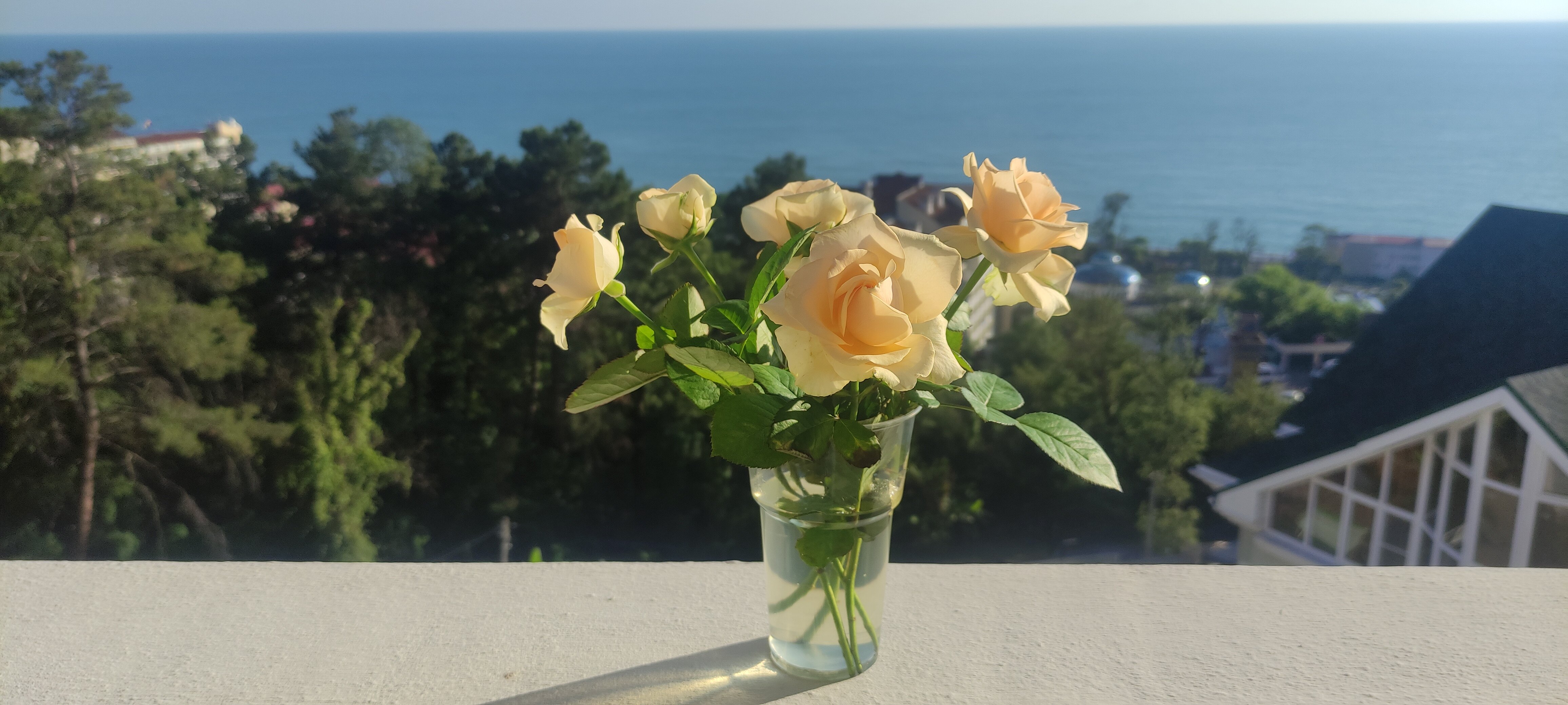 Фото Аква Лайф