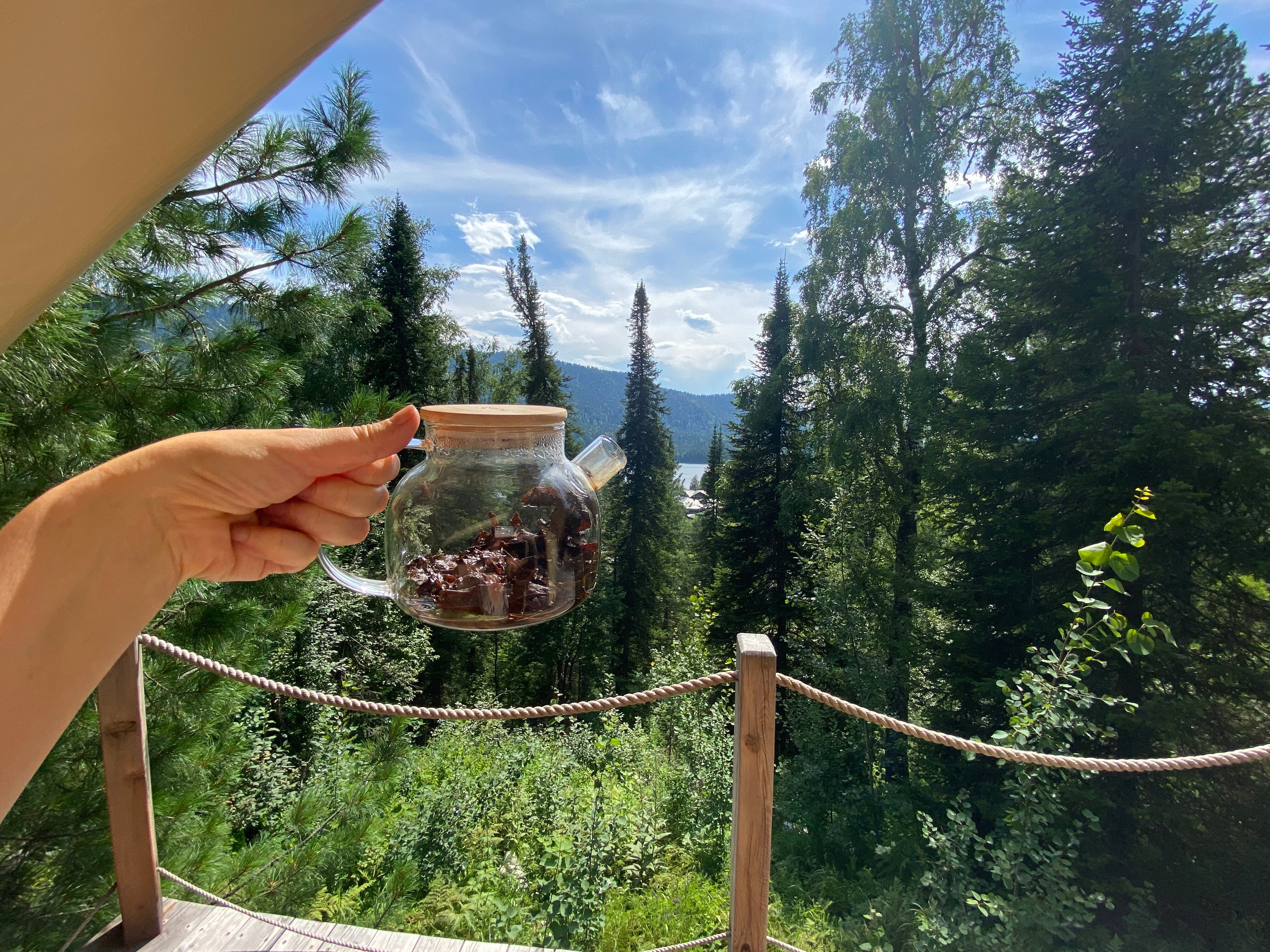 Фото Кедровая берлога